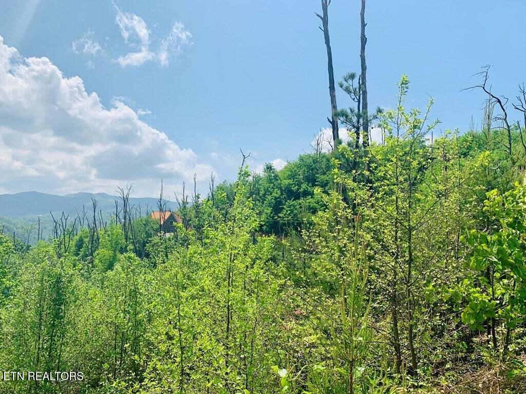 Kristis Place Gatlinburg TN 37738
