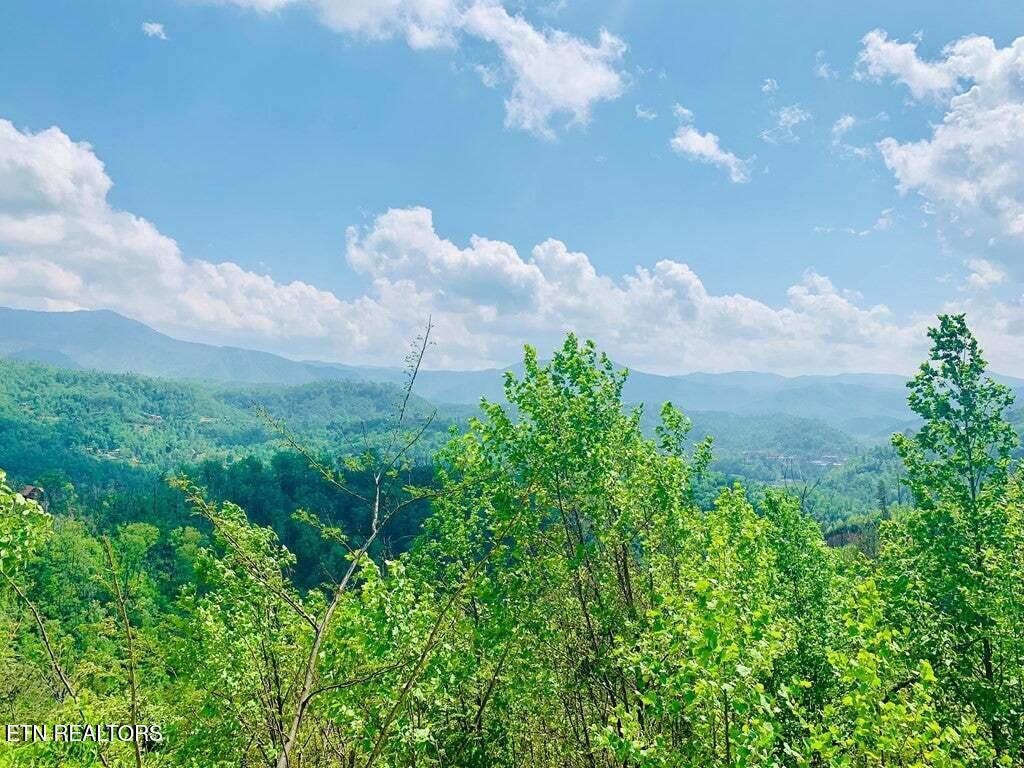 Kristis Place Gatlinburg TN 37738