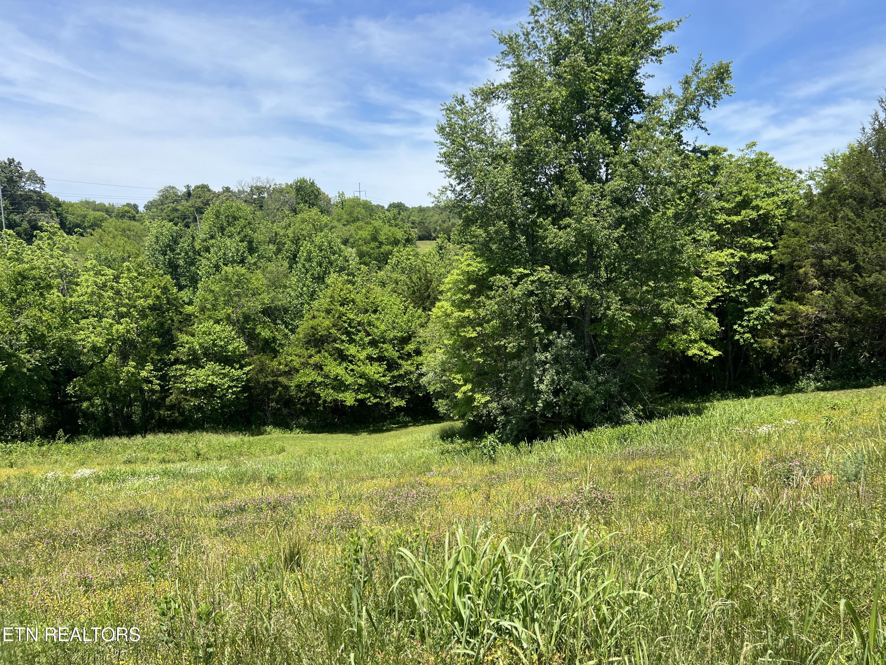 Lot 4c Wilson Road Sevierville TN 37862