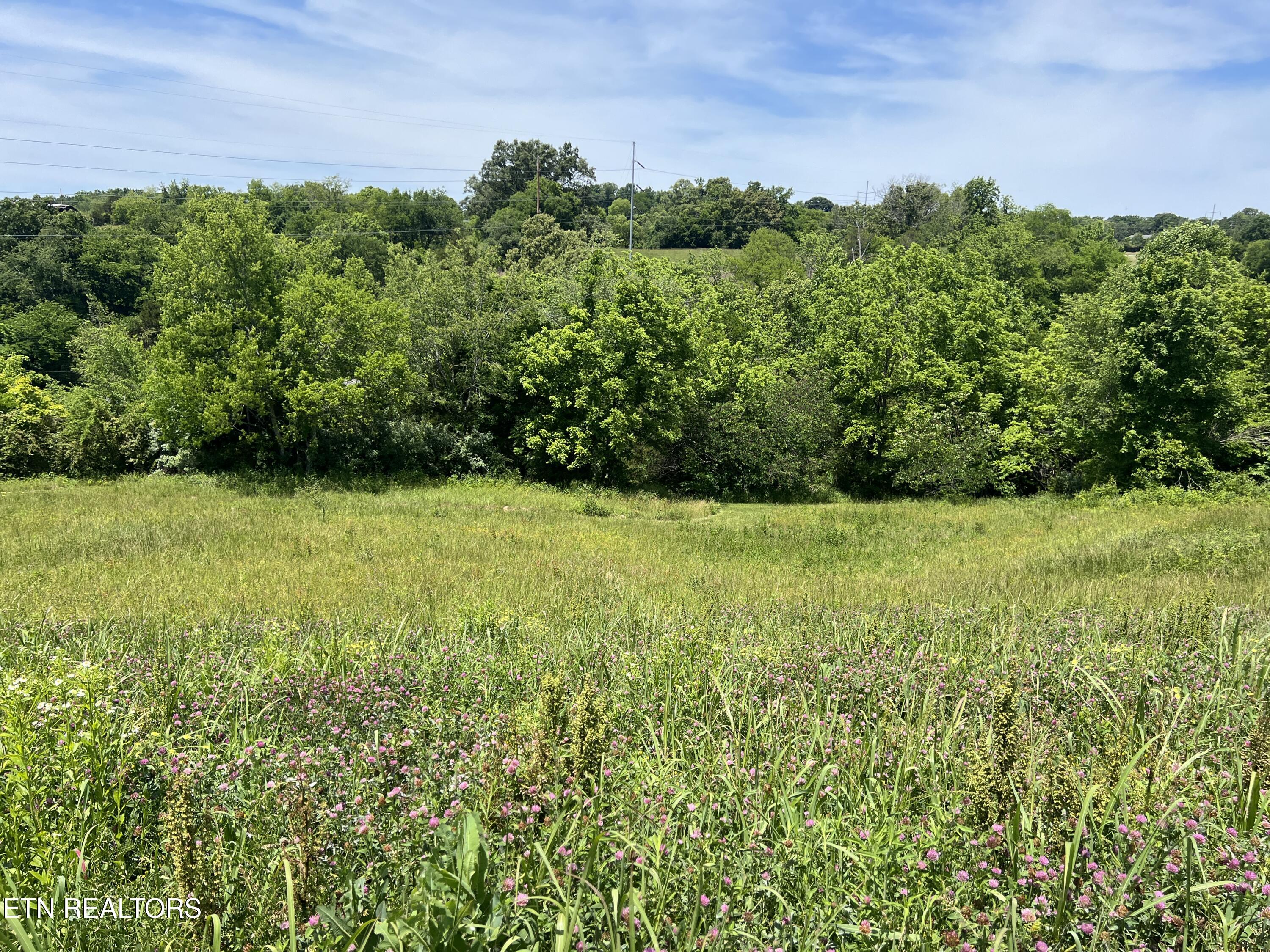 Lot 4c Wilson Road Sevierville TN 37862