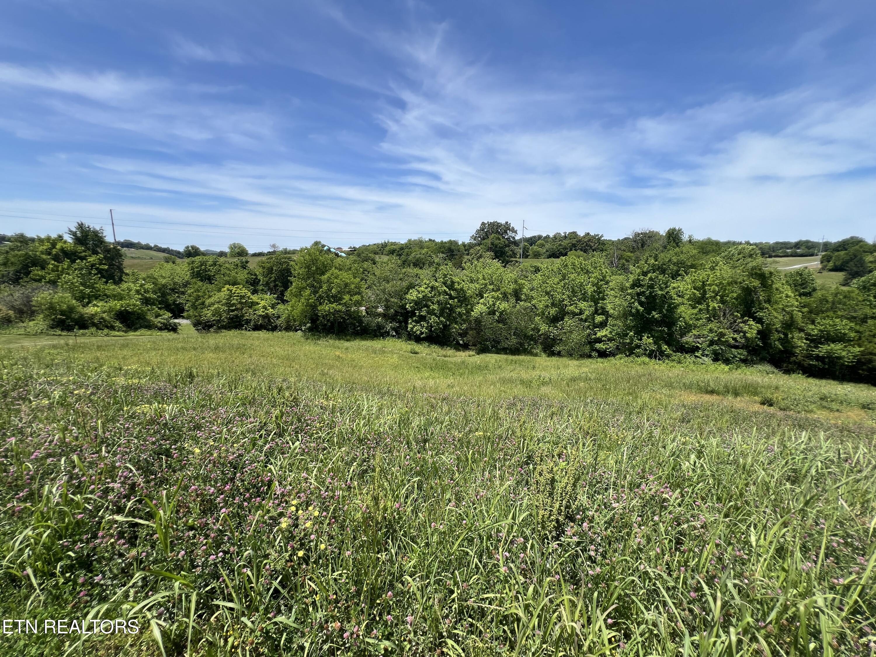 Lot 4c Wilson Road Sevierville TN 37862