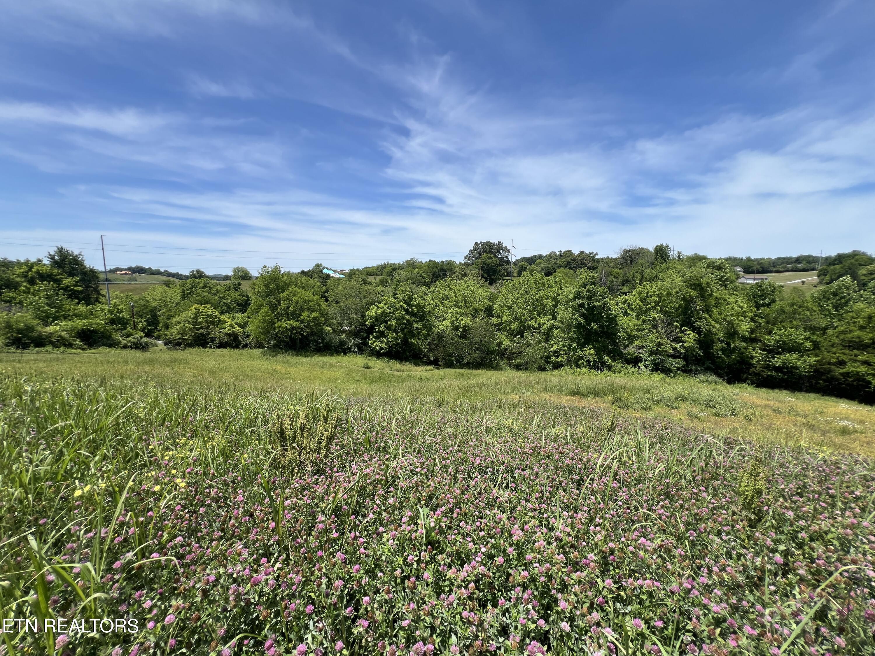 Lot 4c Wilson Road Sevierville TN 37862