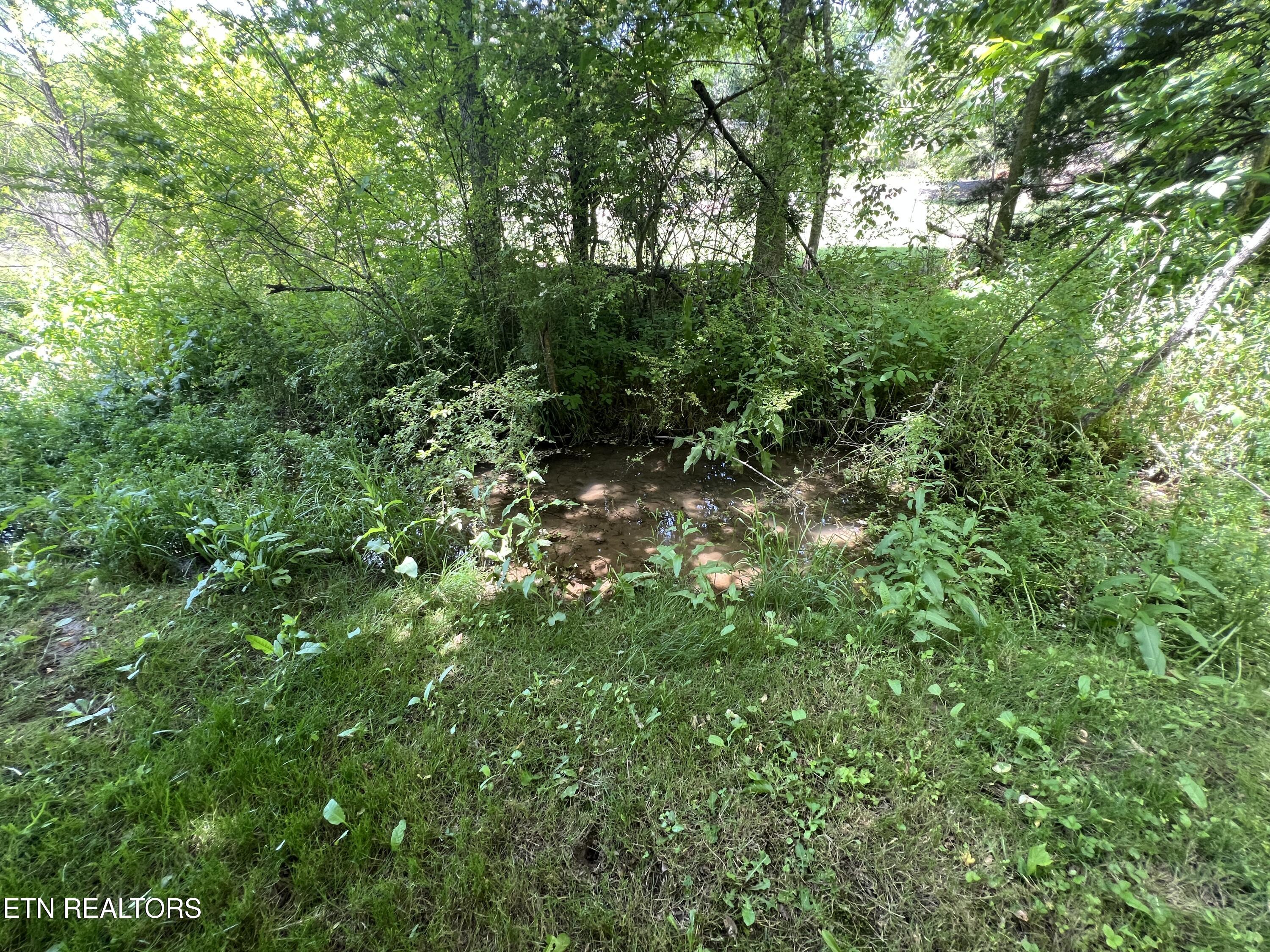 Lot 4c Wilson Road Sevierville TN 37862