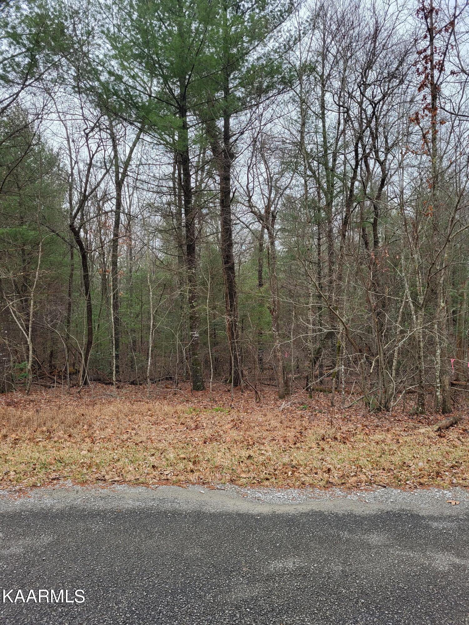 132 Laswell Lane Crossville TN 38558
