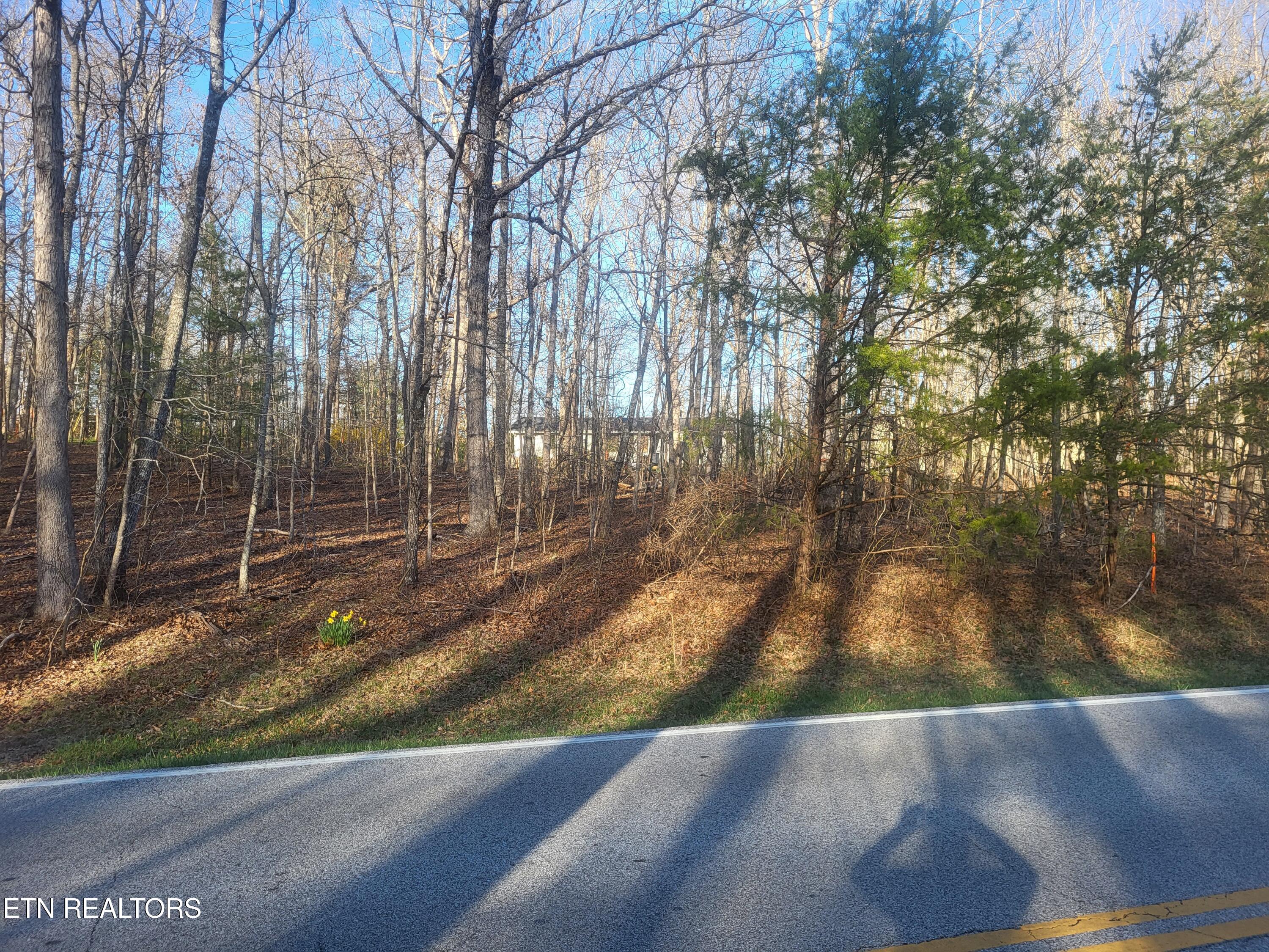 219 St. George Drive Crossville TN 38558