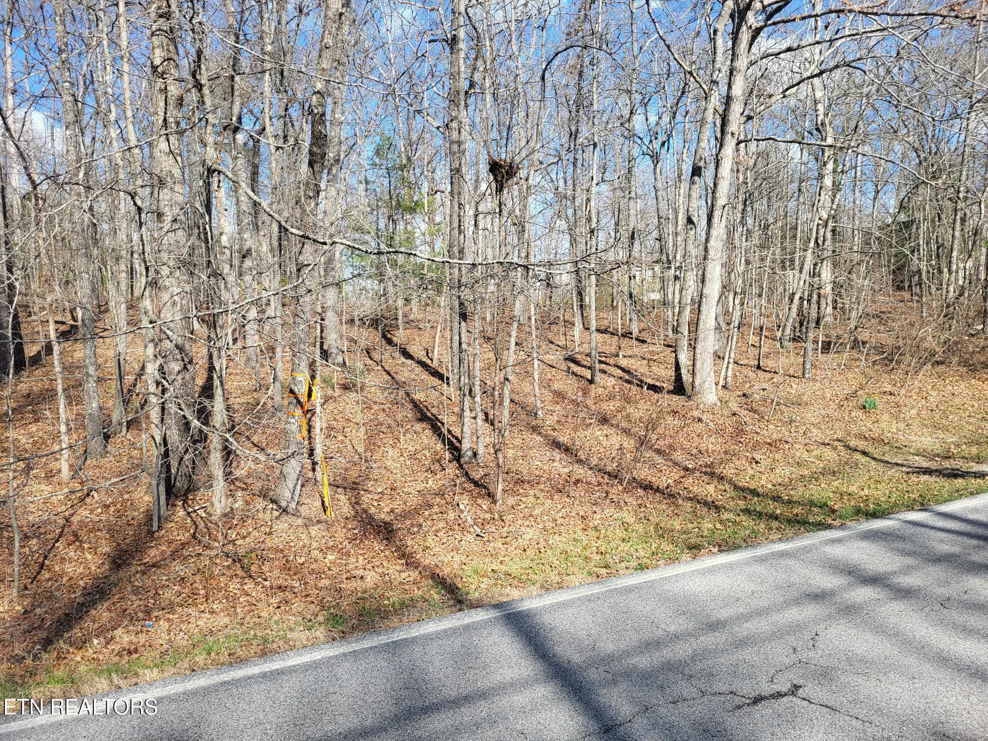 219 St. George Drive Crossville TN 38558
