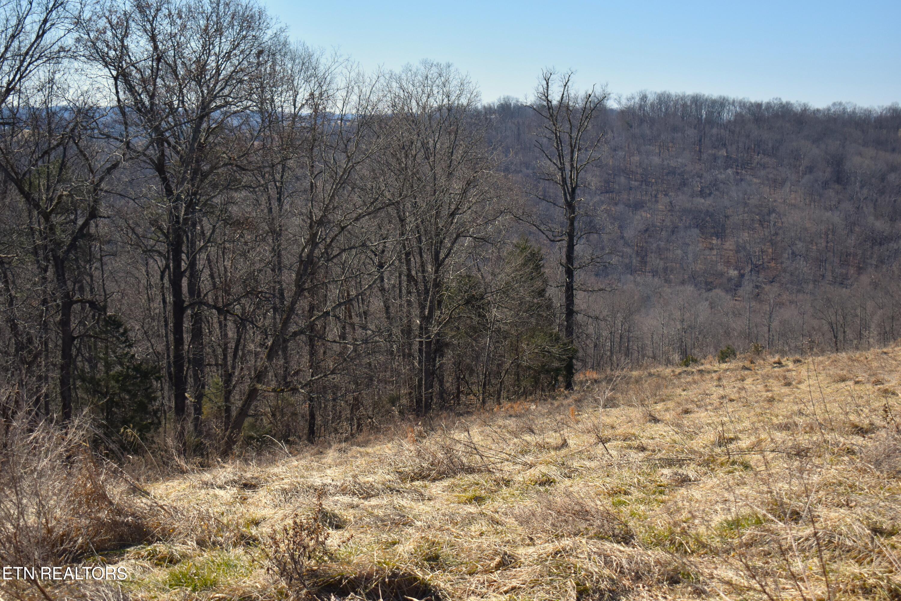 787 Oak Grove Road Harrogate TN 37752