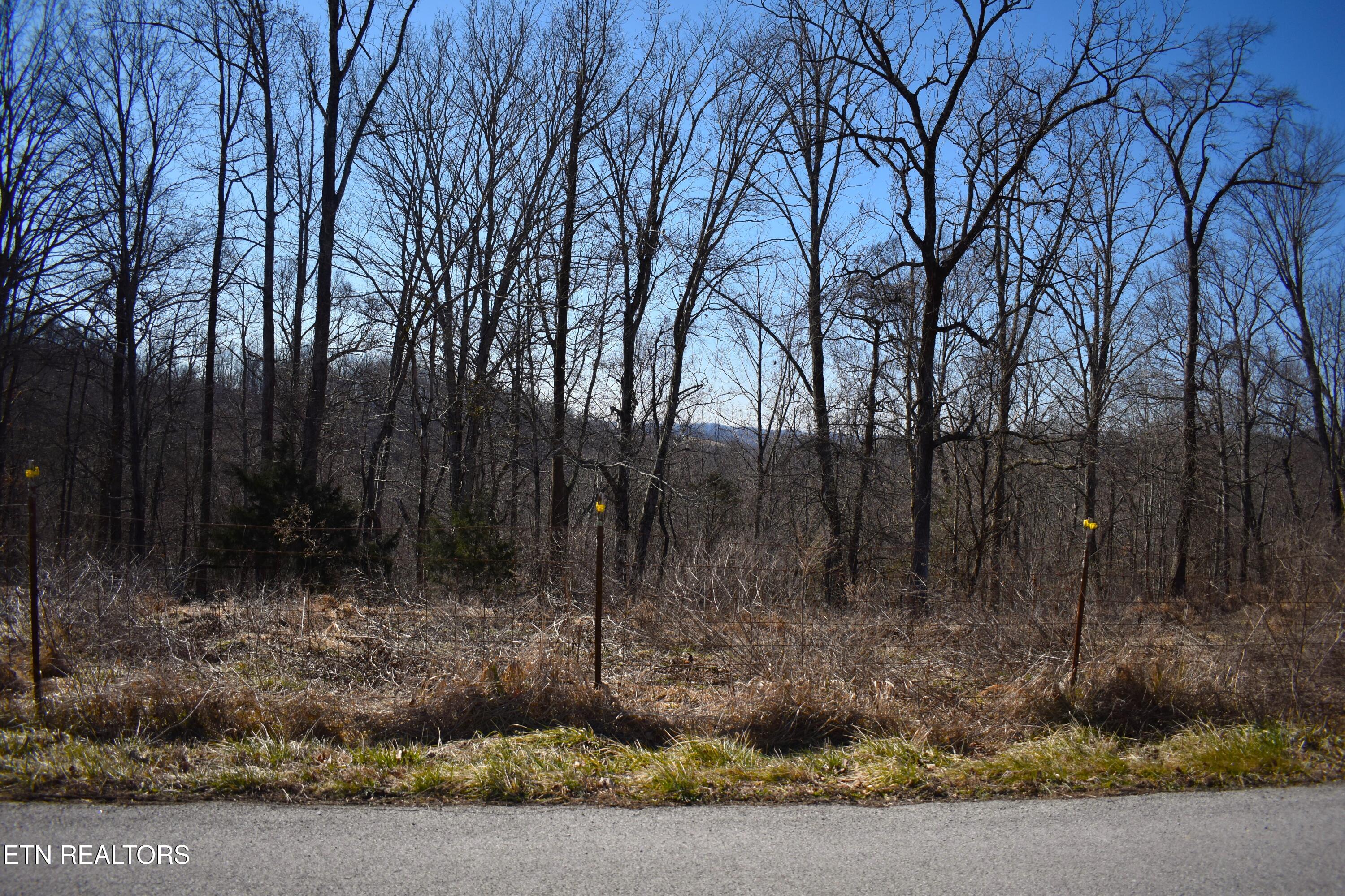 787 Oak Grove Road Harrogate TN 37752