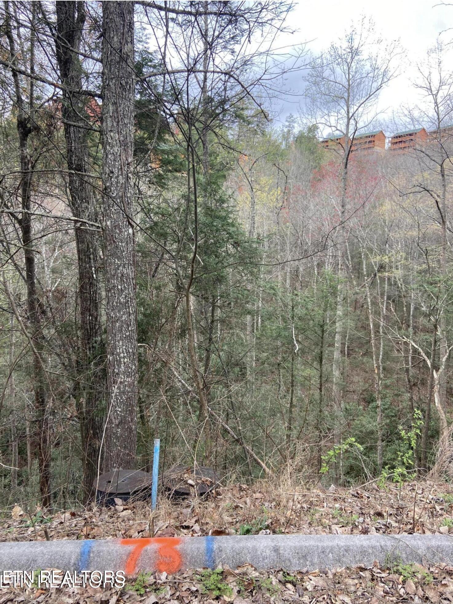 Lot #73 Smoky Ridge Way Sevierville TN 37862
