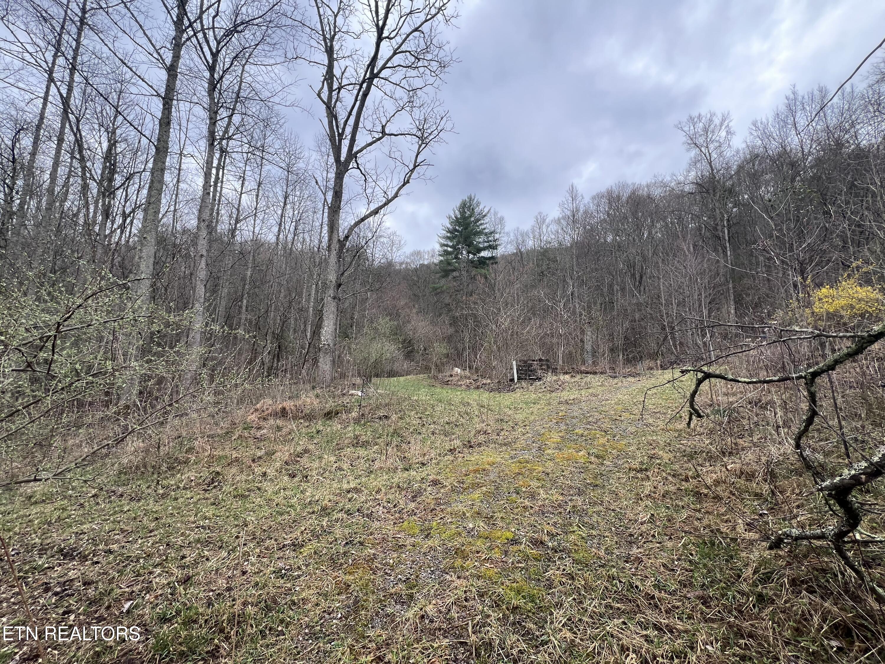 603 Sled Creek Road Duff TN 37729
