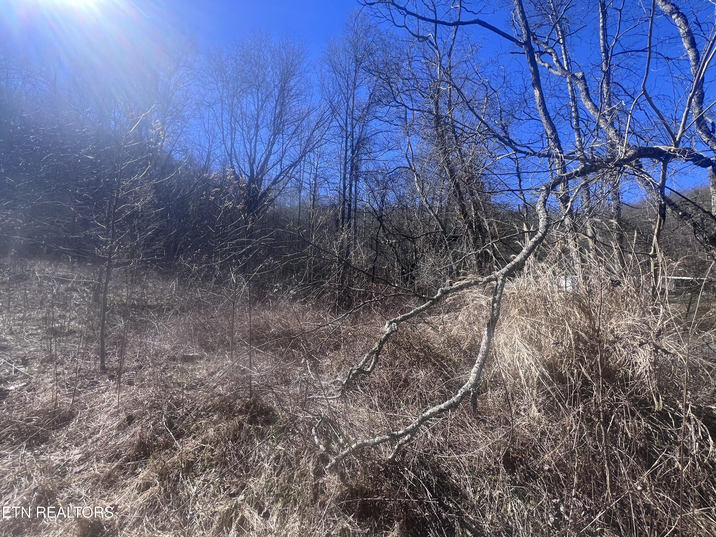 603 Sled Creek Road Duff TN 37729
