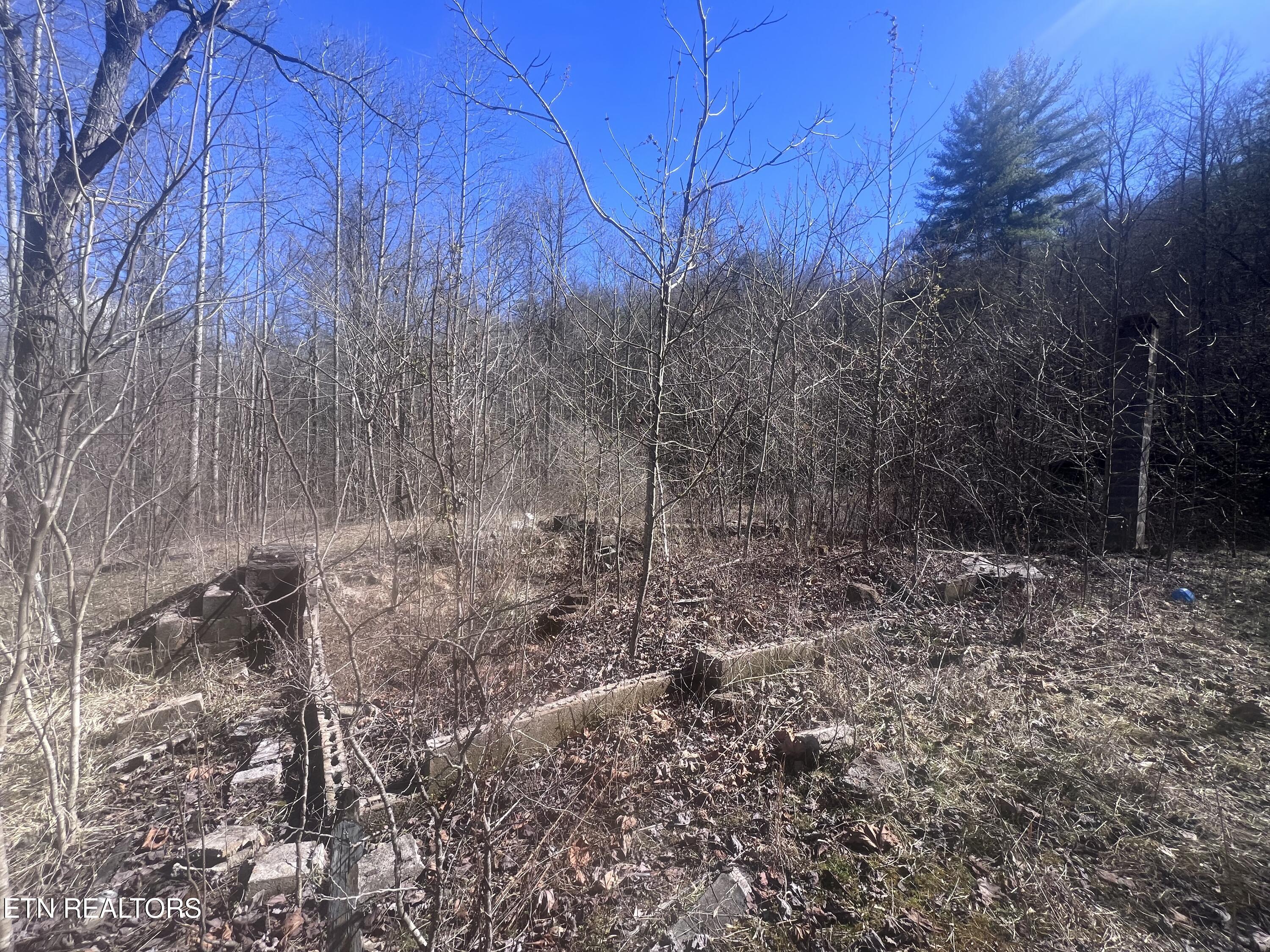 603 Sled Creek Road Duff TN 37729