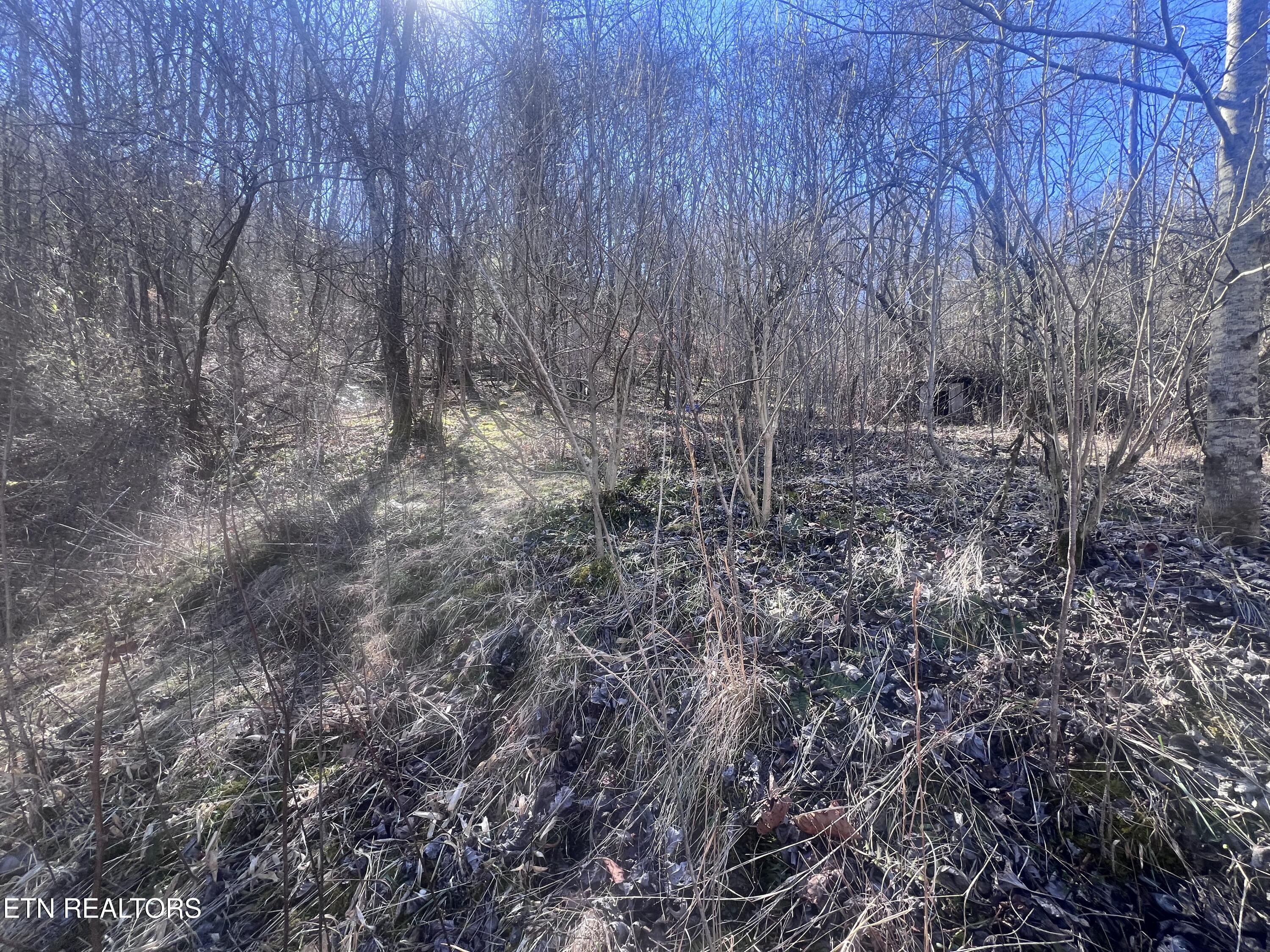 603 Sled Creek Road Duff TN 37729