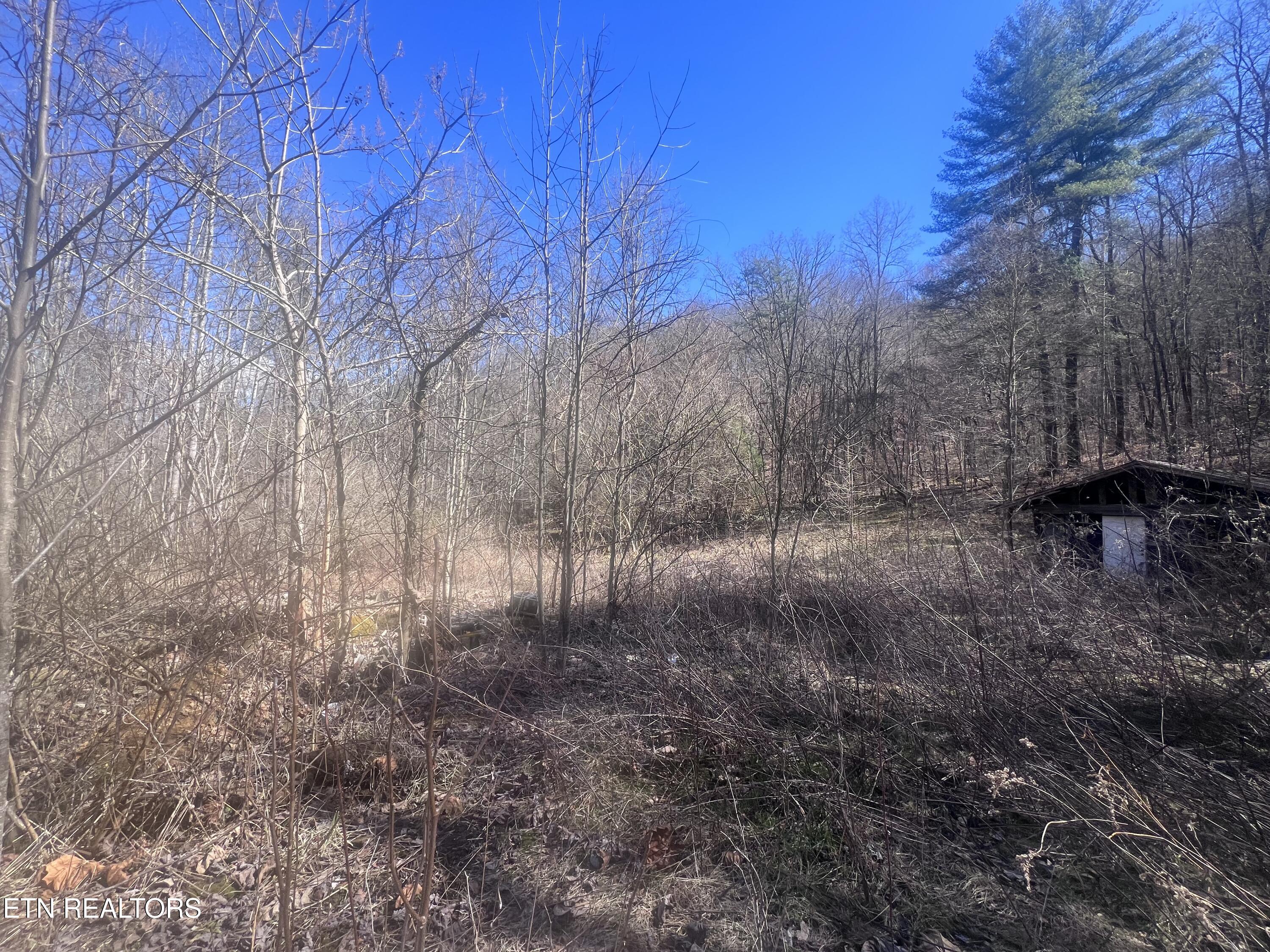 603 Sled Creek Road Duff TN 37729