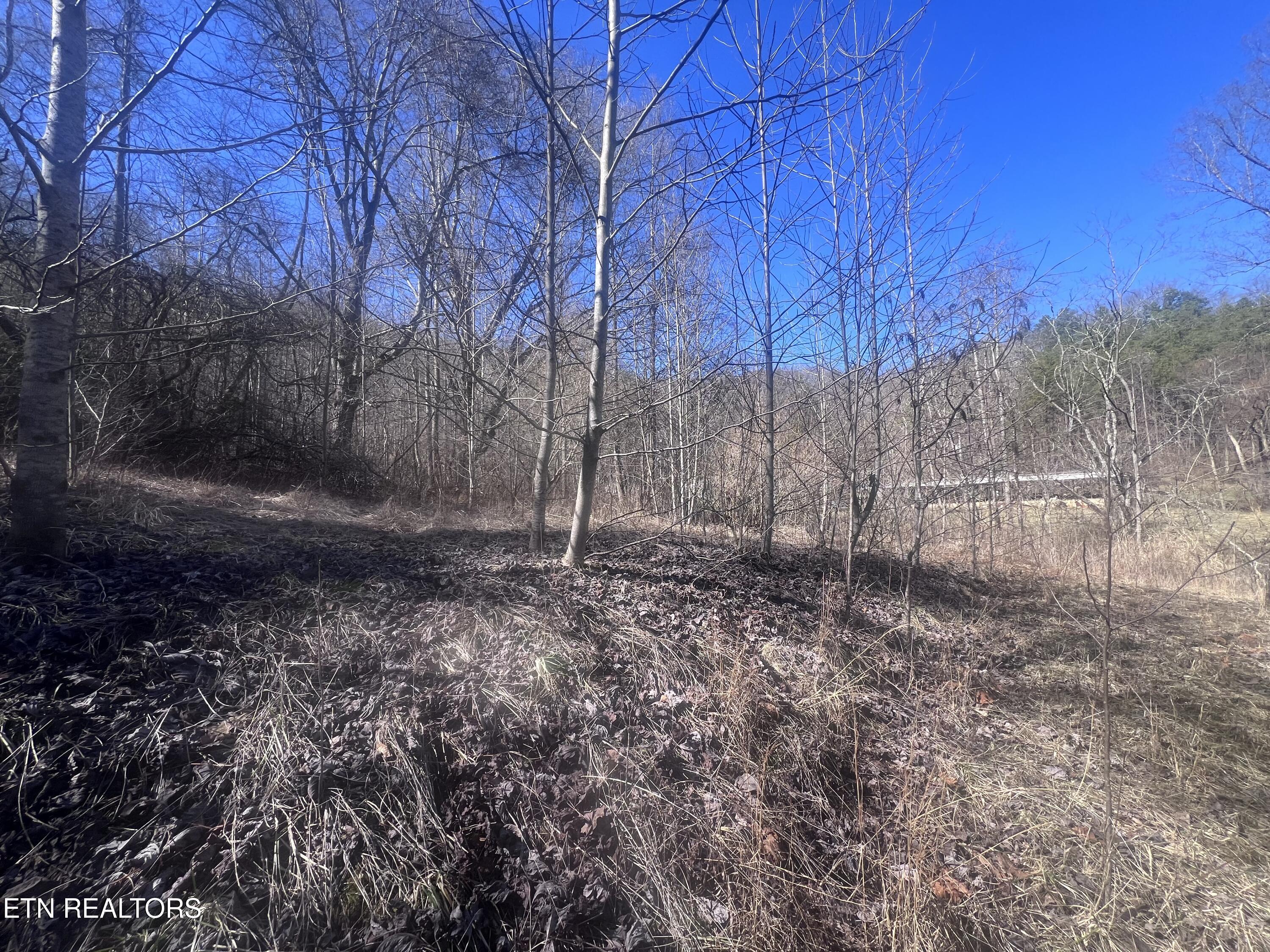 603 Sled Creek Road Duff TN 37729