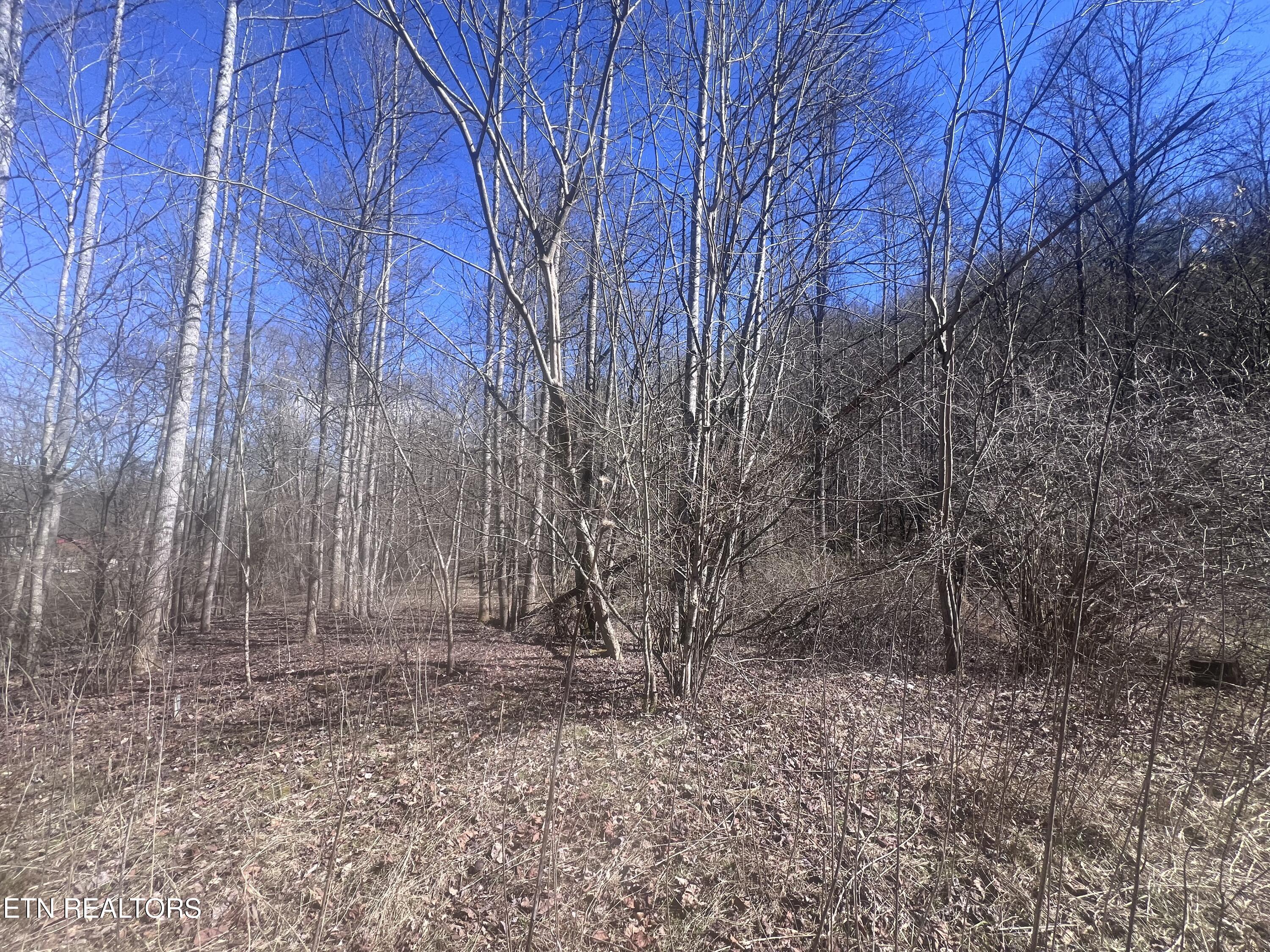 603 Sled Creek Road Duff TN 37729