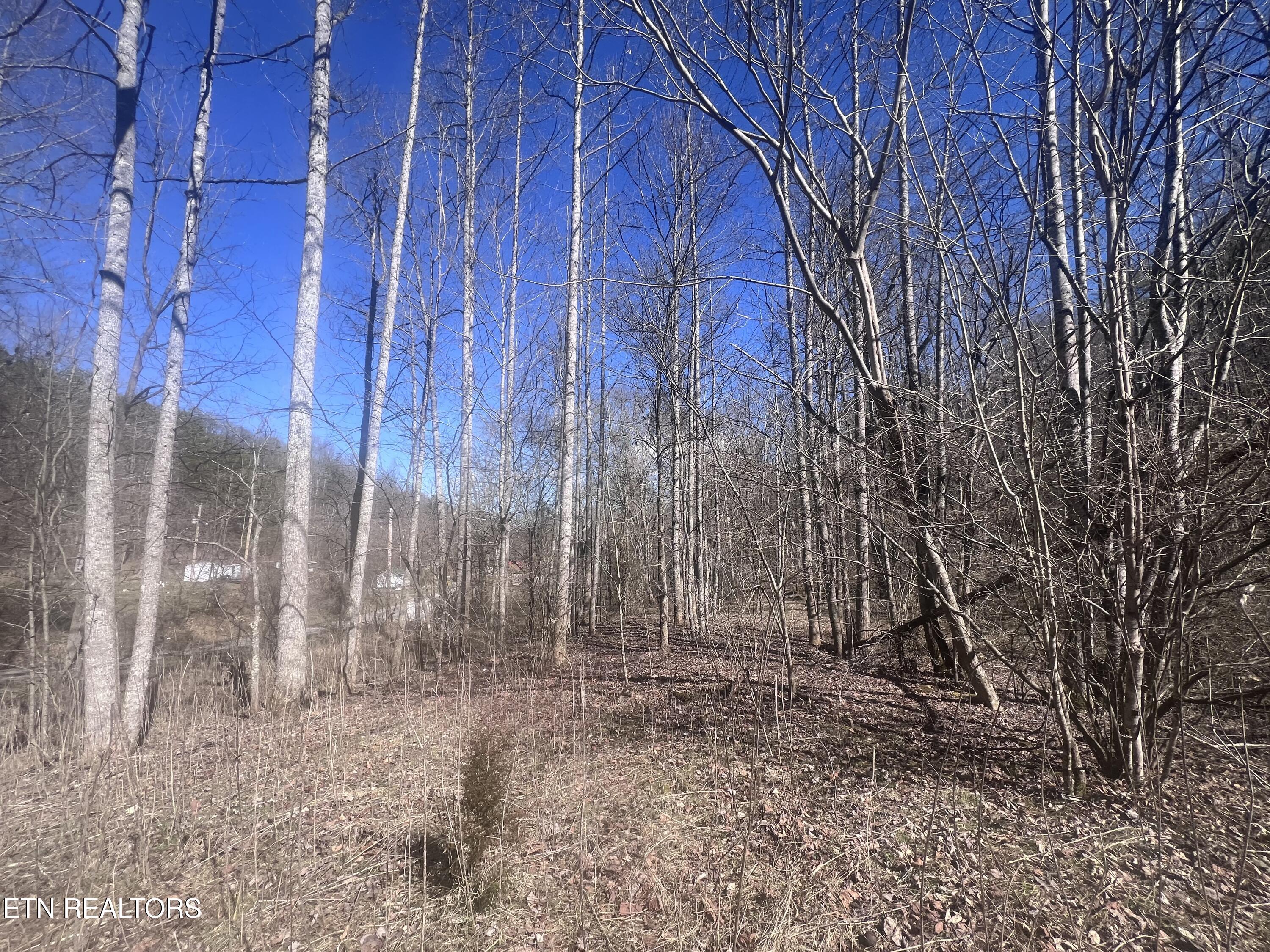603 Sled Creek Road Duff TN 37729