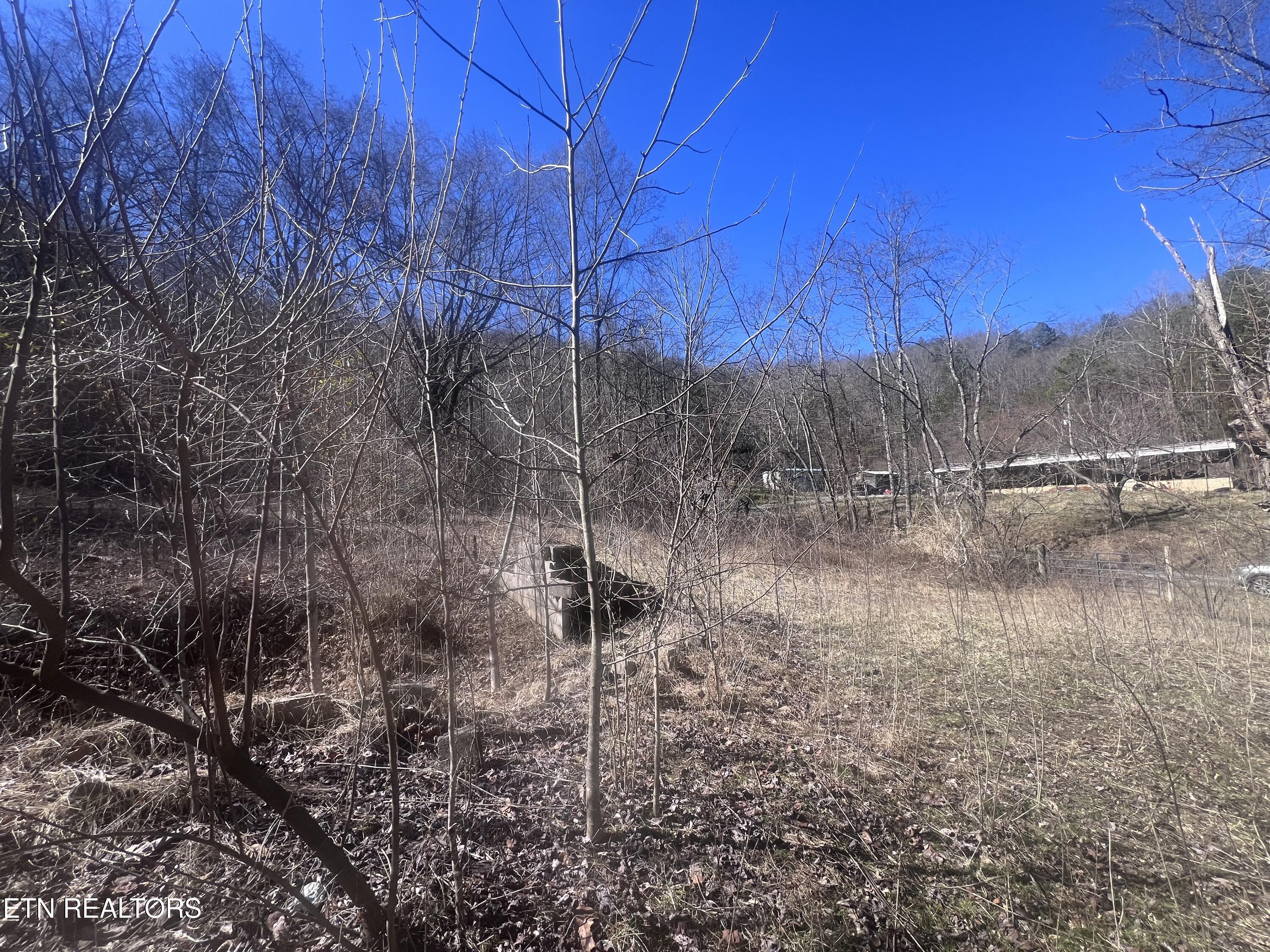 603 Sled Creek Road Duff TN 37729