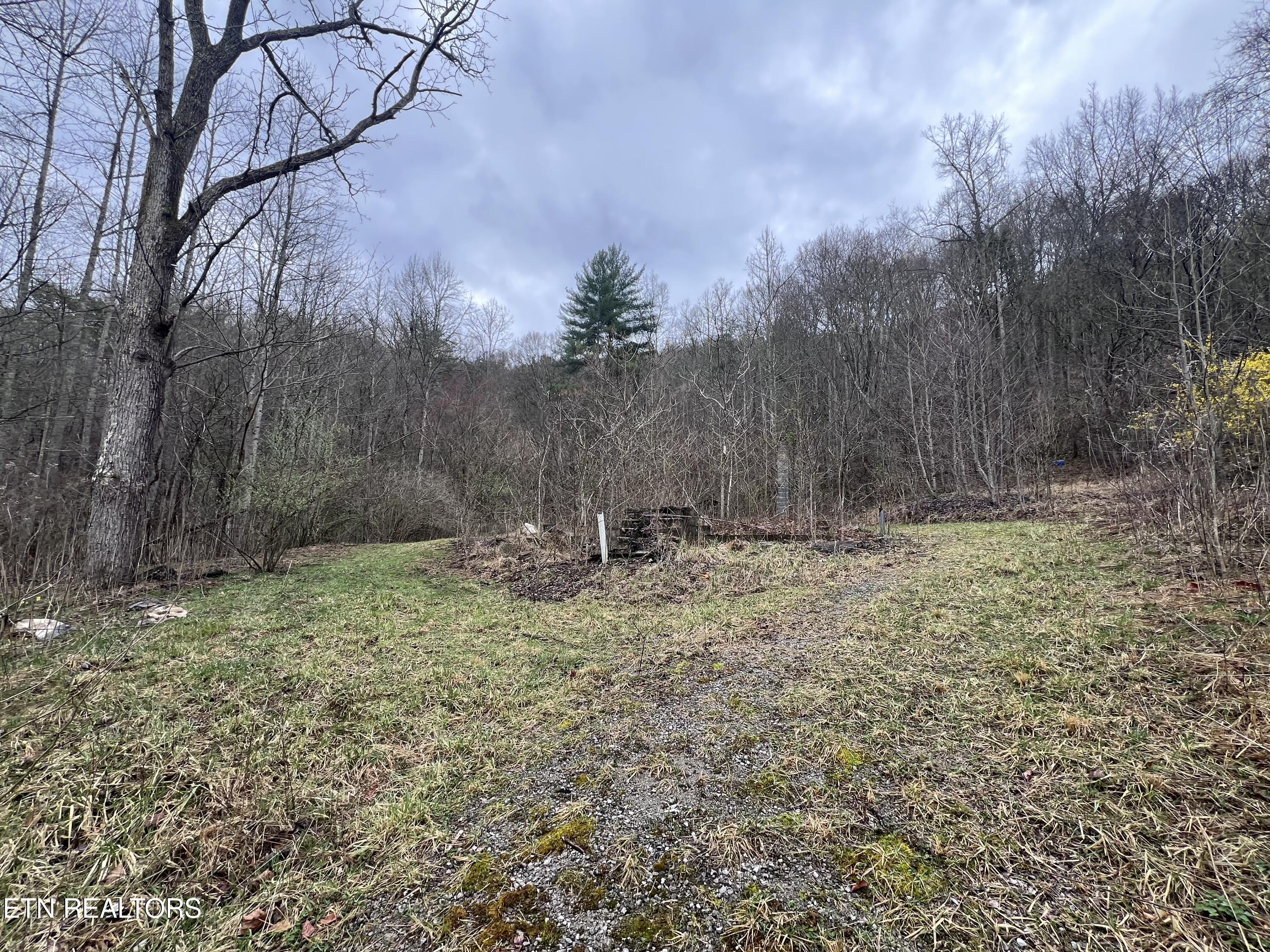603 Sled Creek Road Duff TN 37729