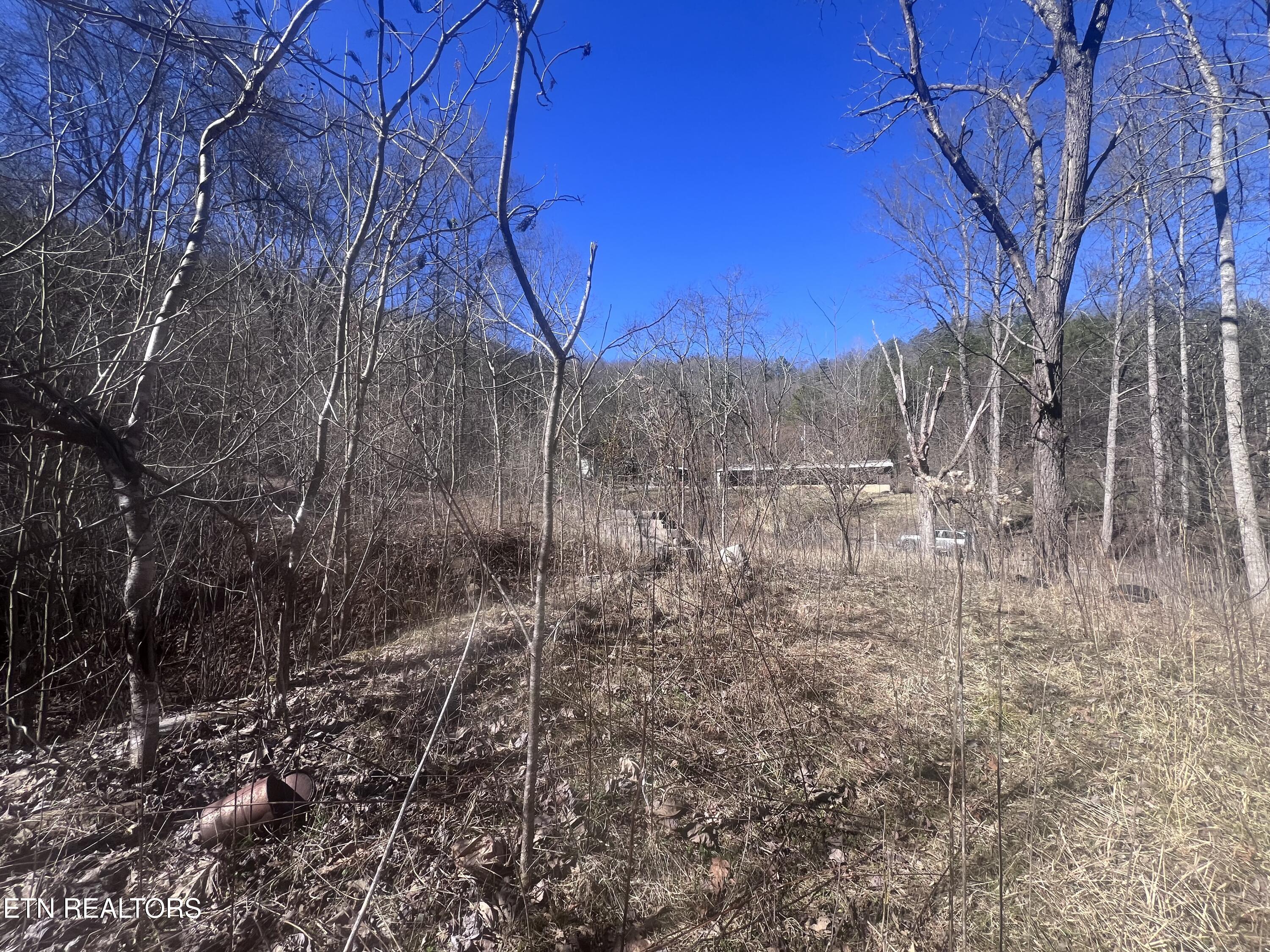 603 Sled Creek Road Duff TN 37729