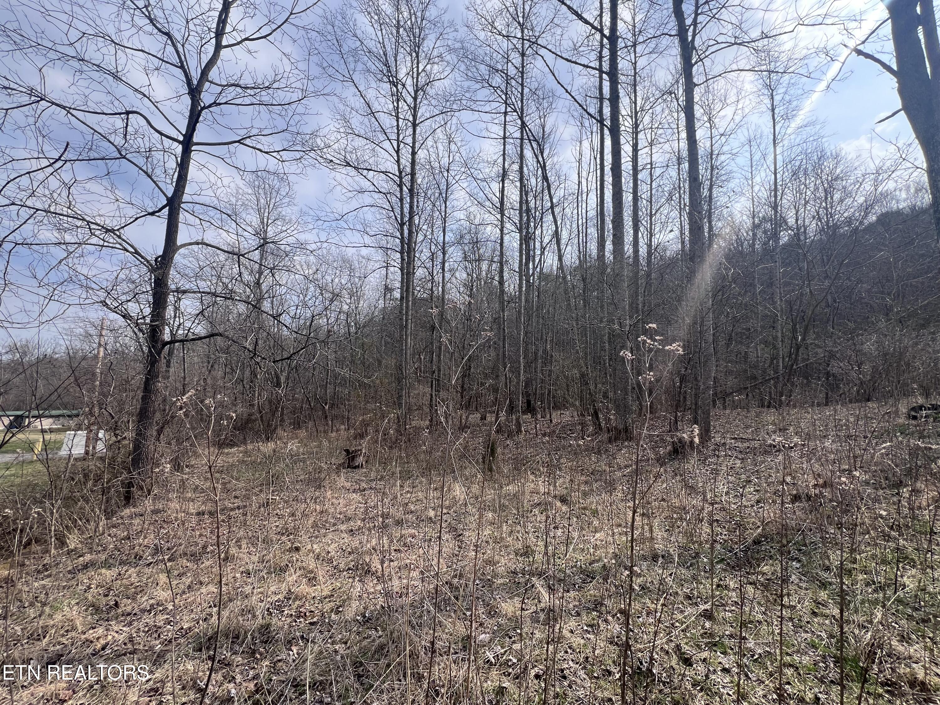 603 Sled Creek Road Duff TN 37729