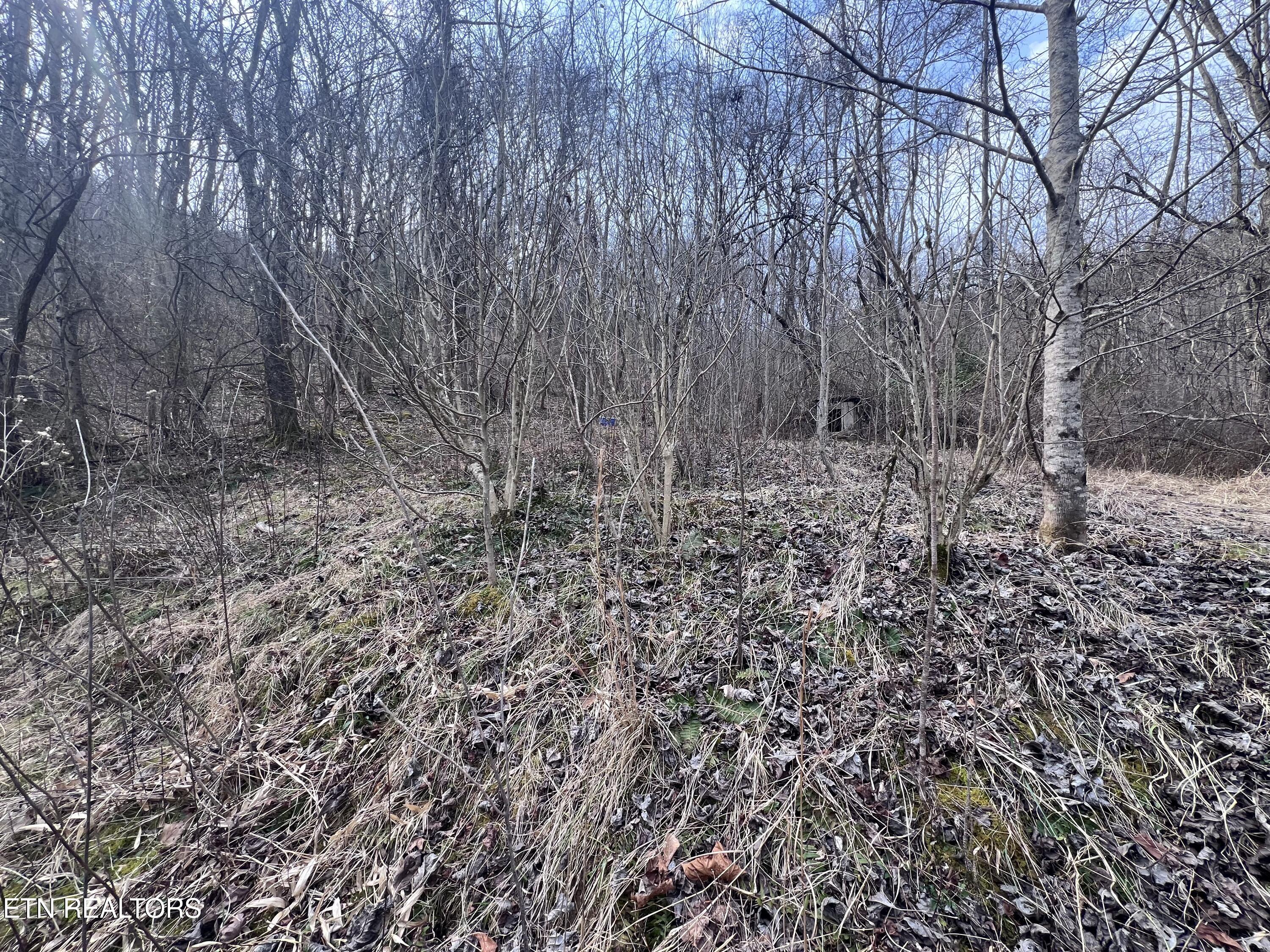 603 Sled Creek Road Duff TN 37729