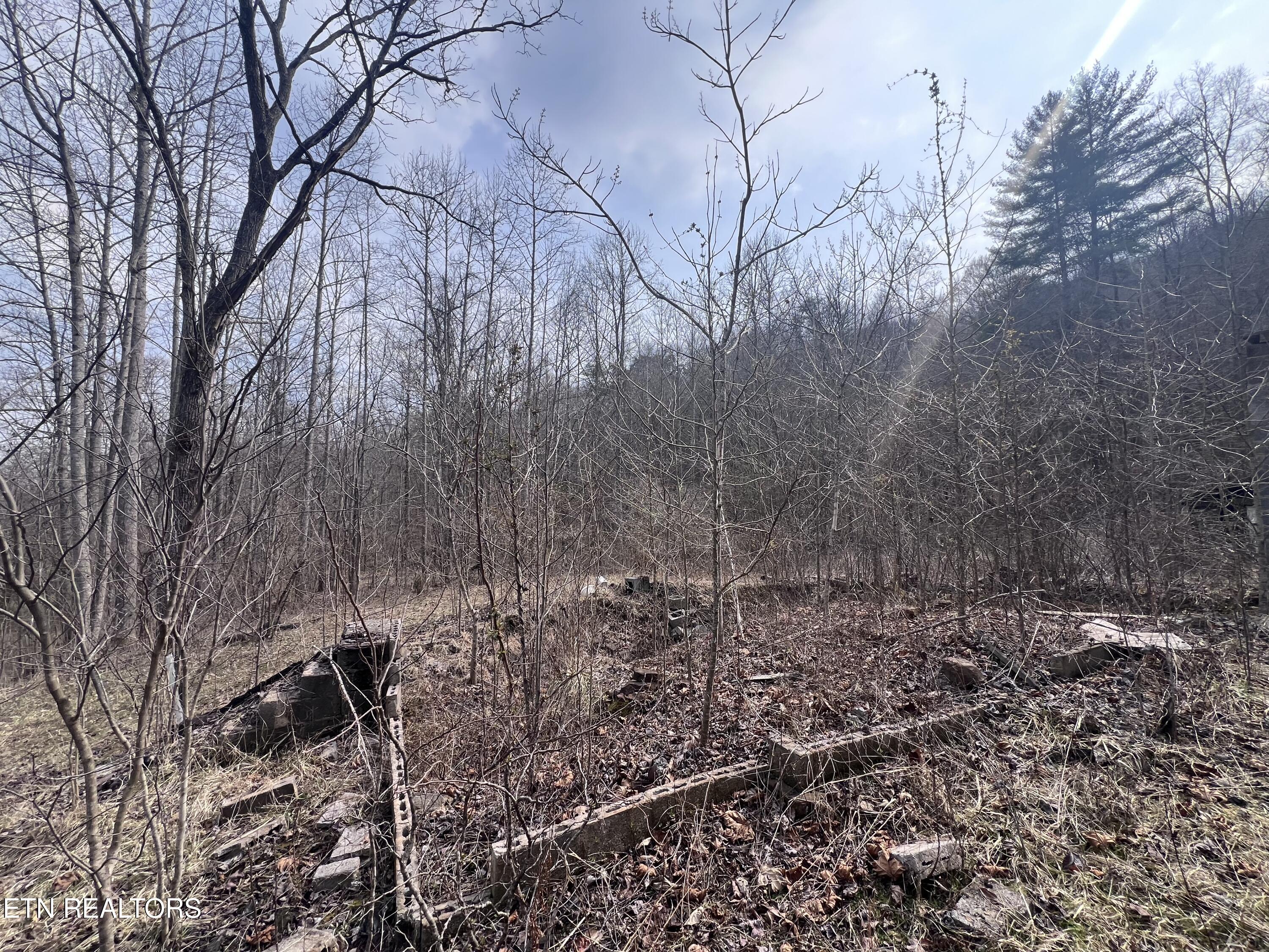 603 Sled Creek Road Duff TN 37729