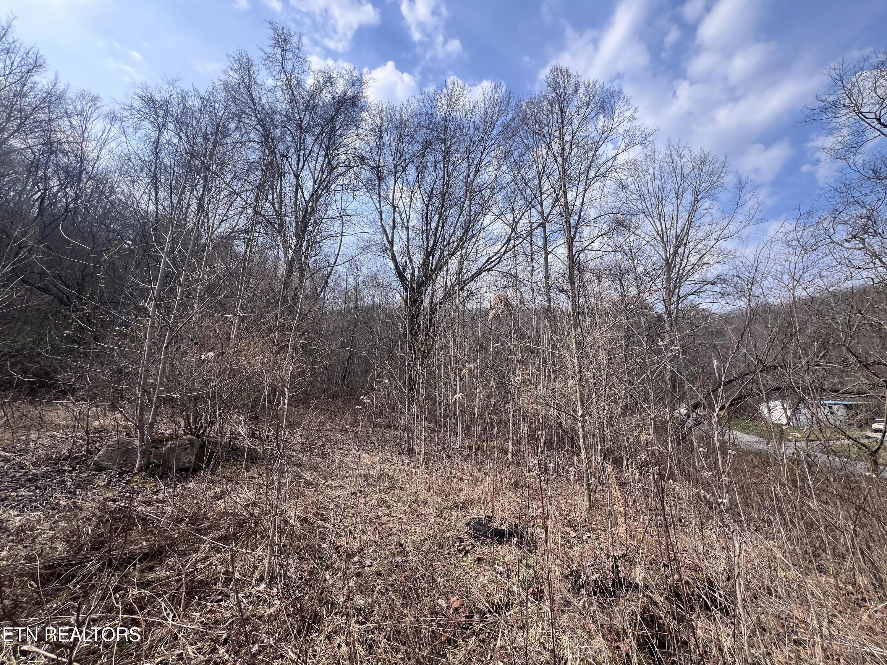 603 Sled Creek Road Duff TN 37729