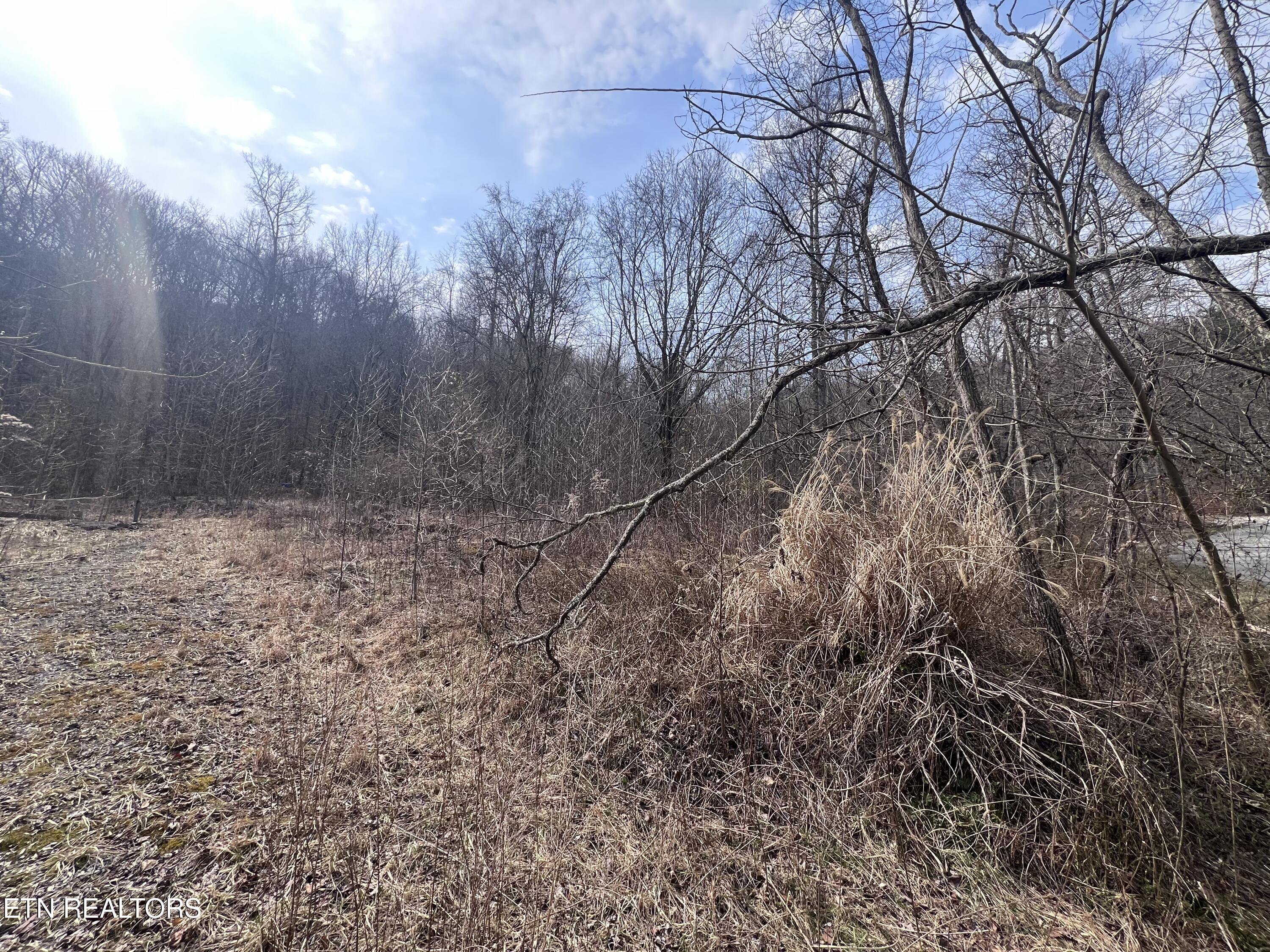 603 Sled Creek Road Duff TN 37729