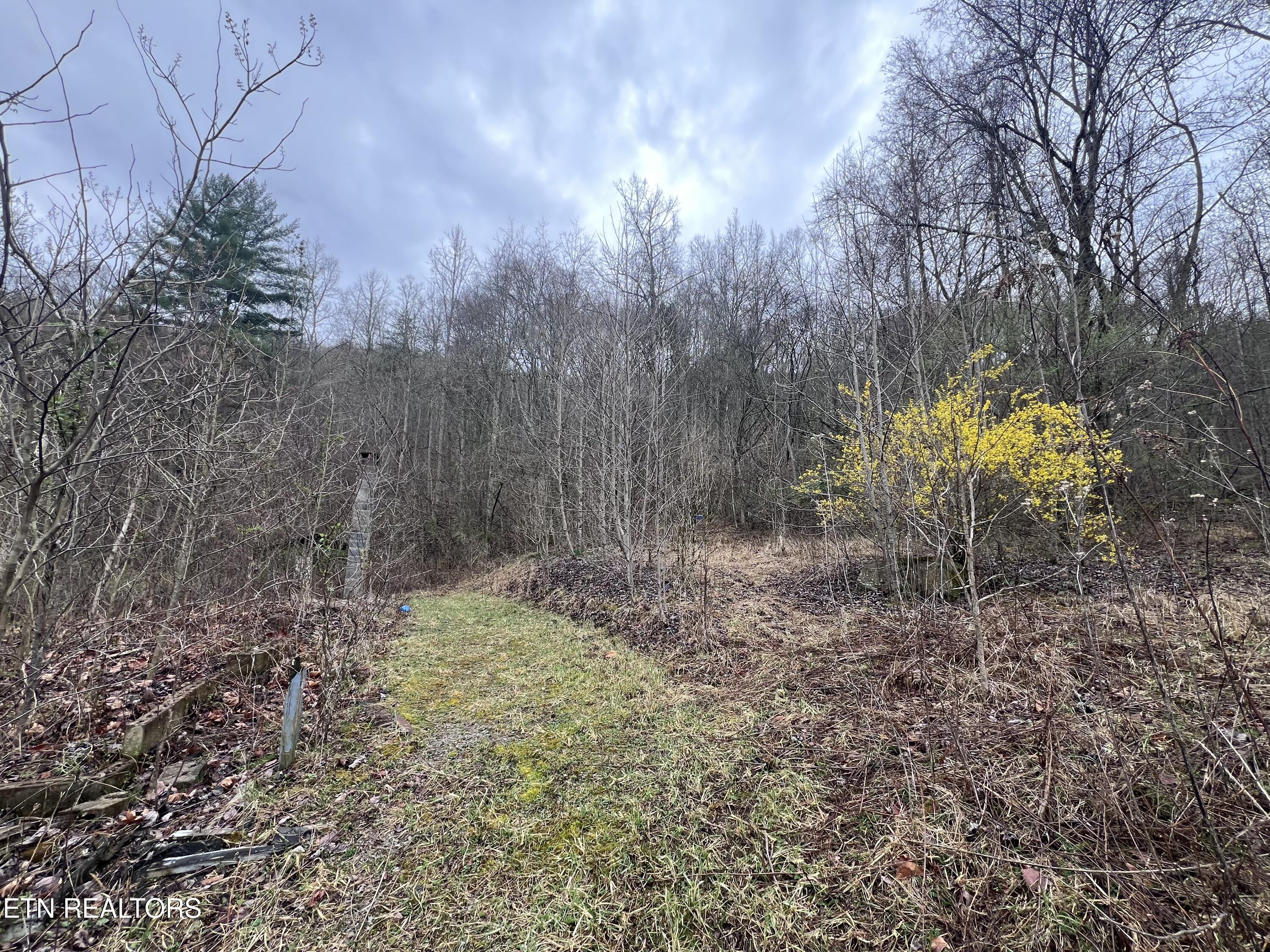 603 Sled Creek Road Duff TN 37729