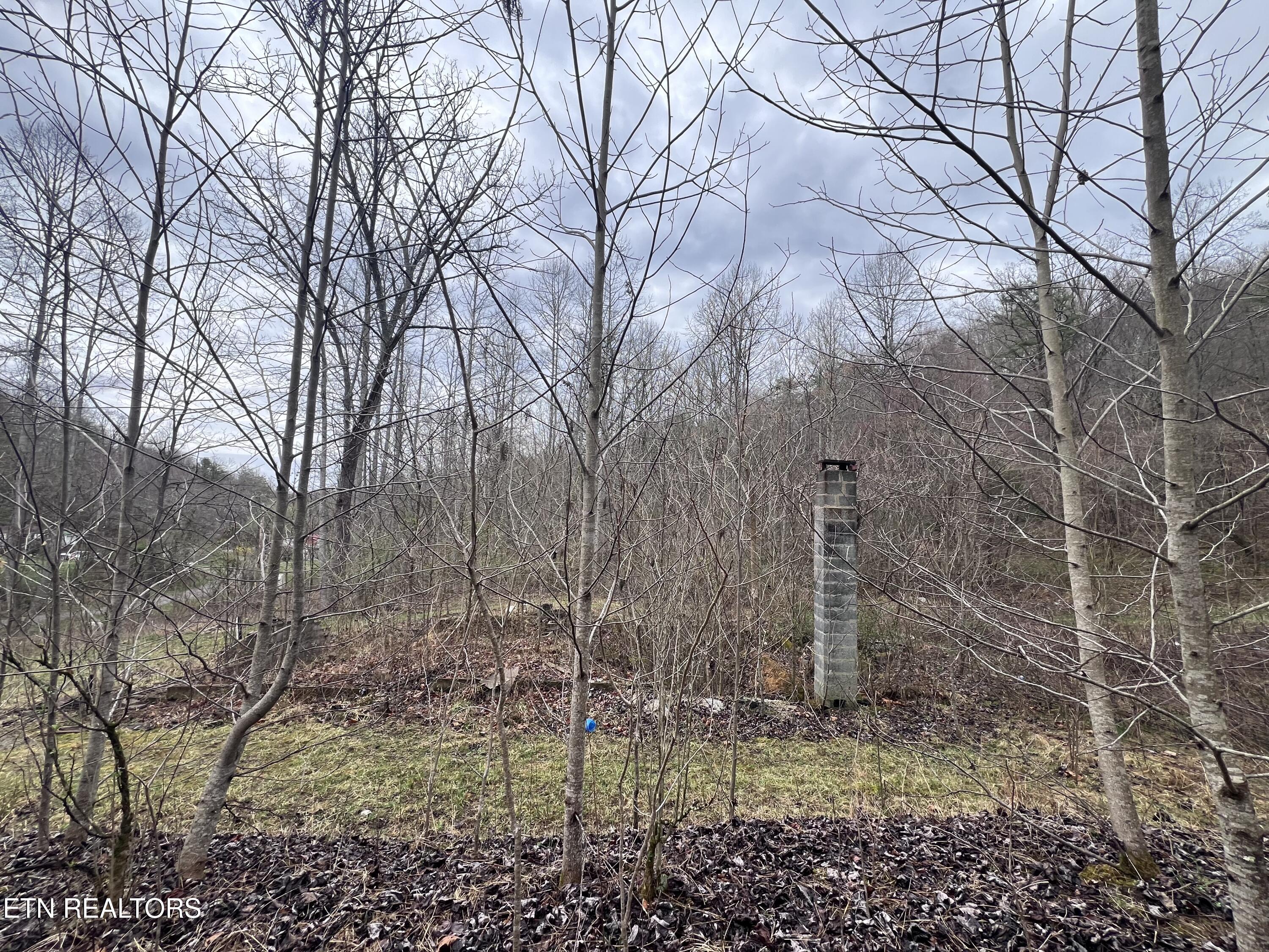 603 Sled Creek Road Duff TN 37729