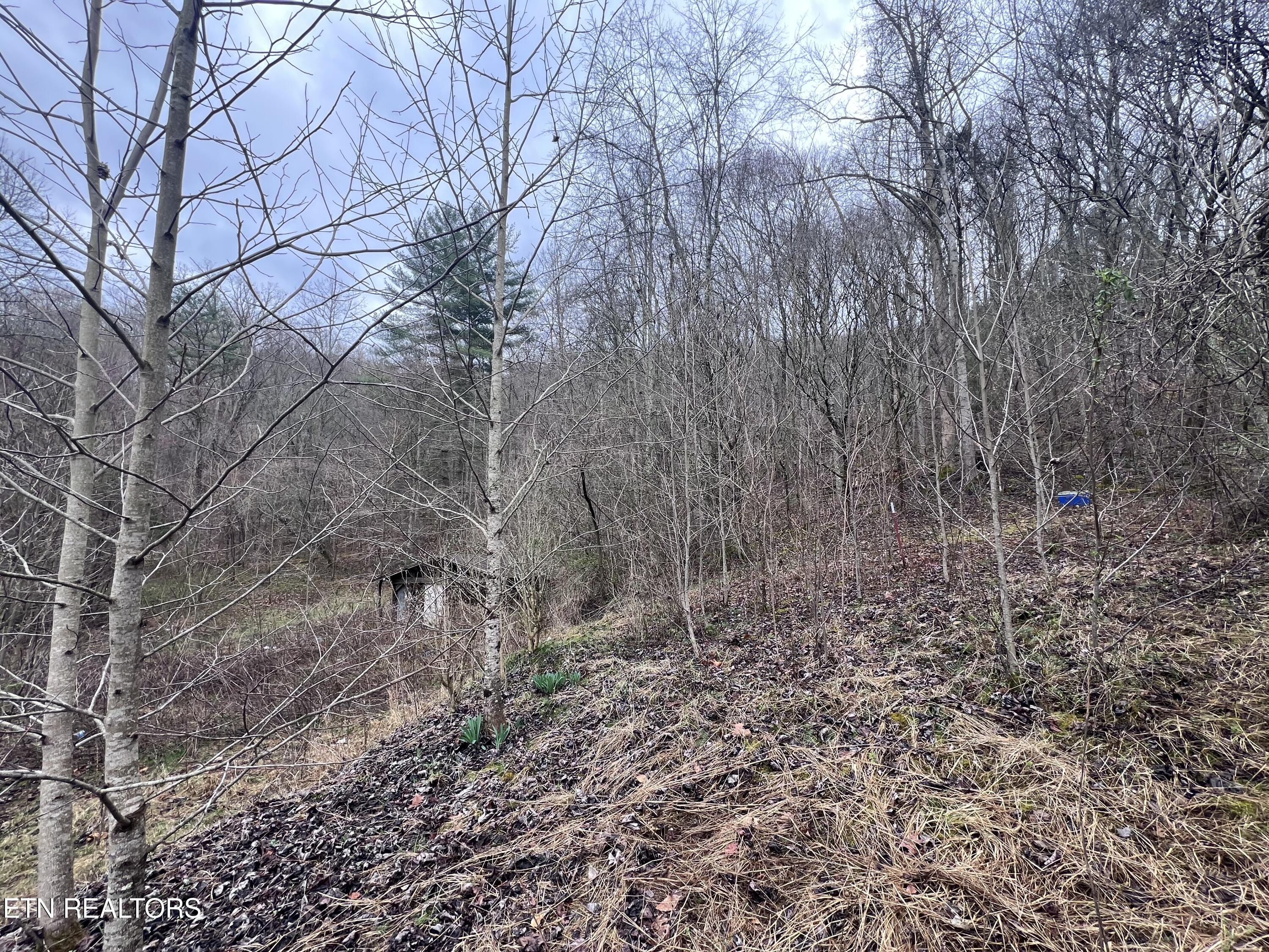 603 Sled Creek Road Duff TN 37729