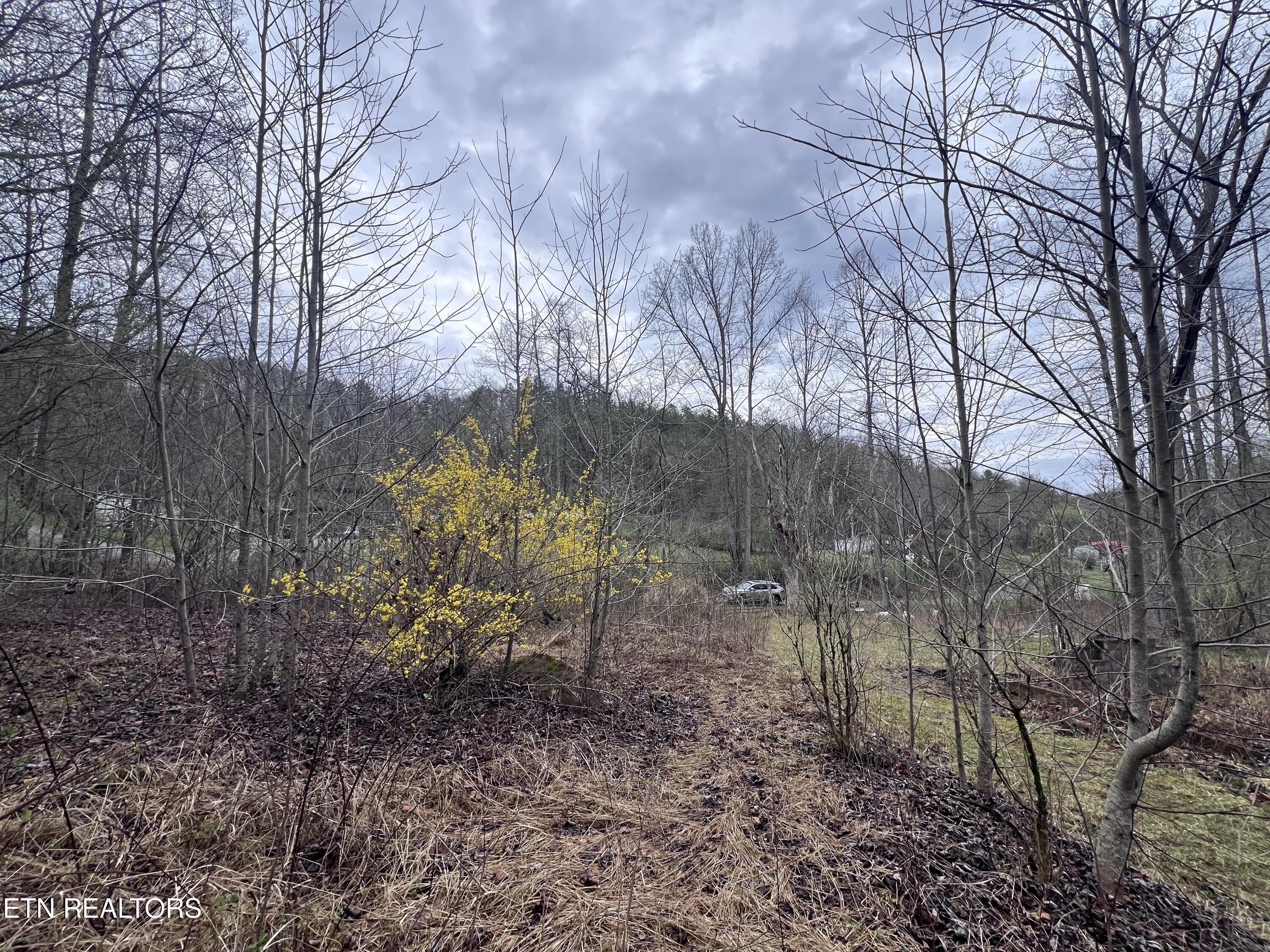 603 Sled Creek Road Duff TN 37729
