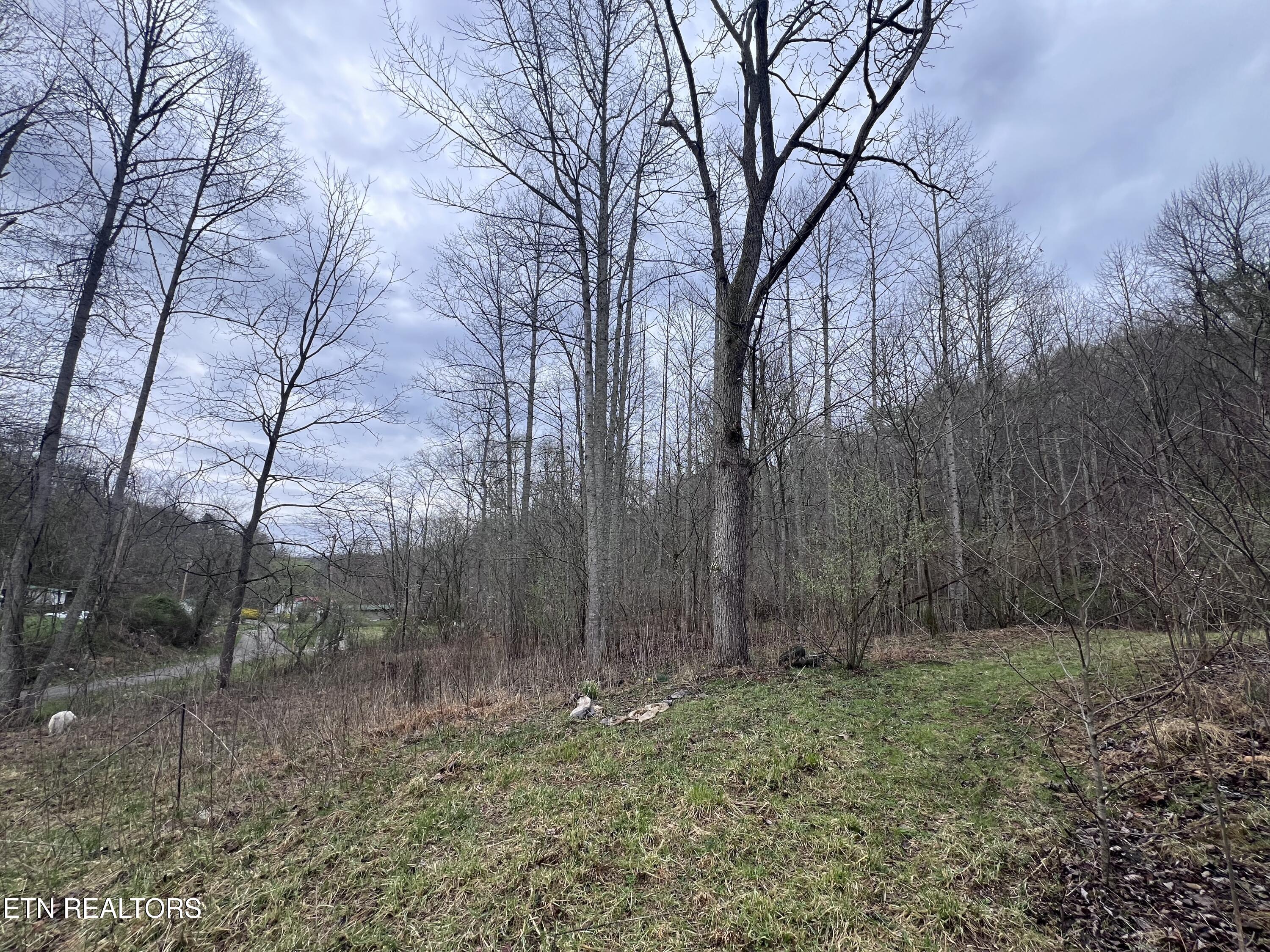 603 Sled Creek Road Duff TN 37729