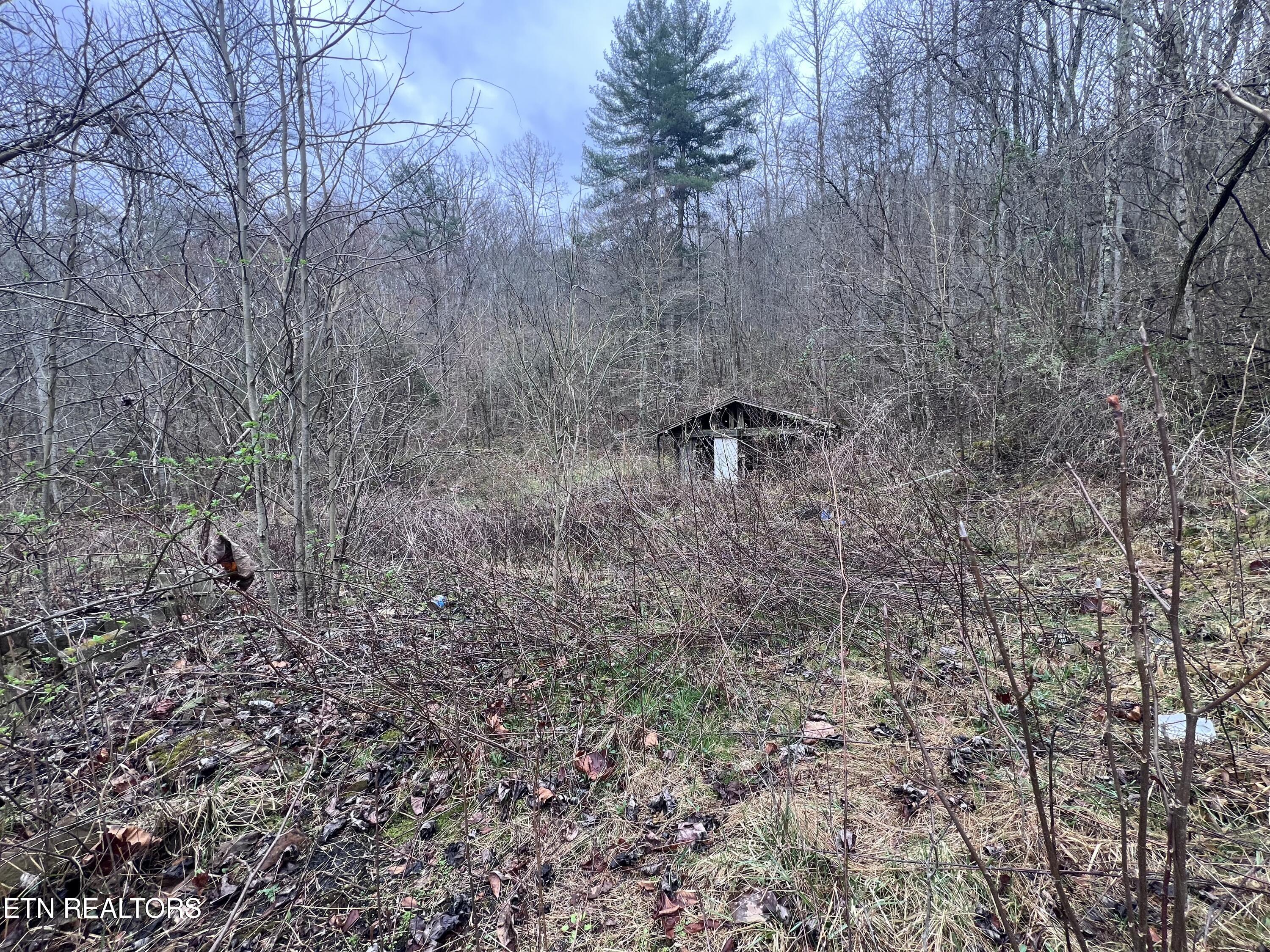 603 Sled Creek Road Duff TN 37729
