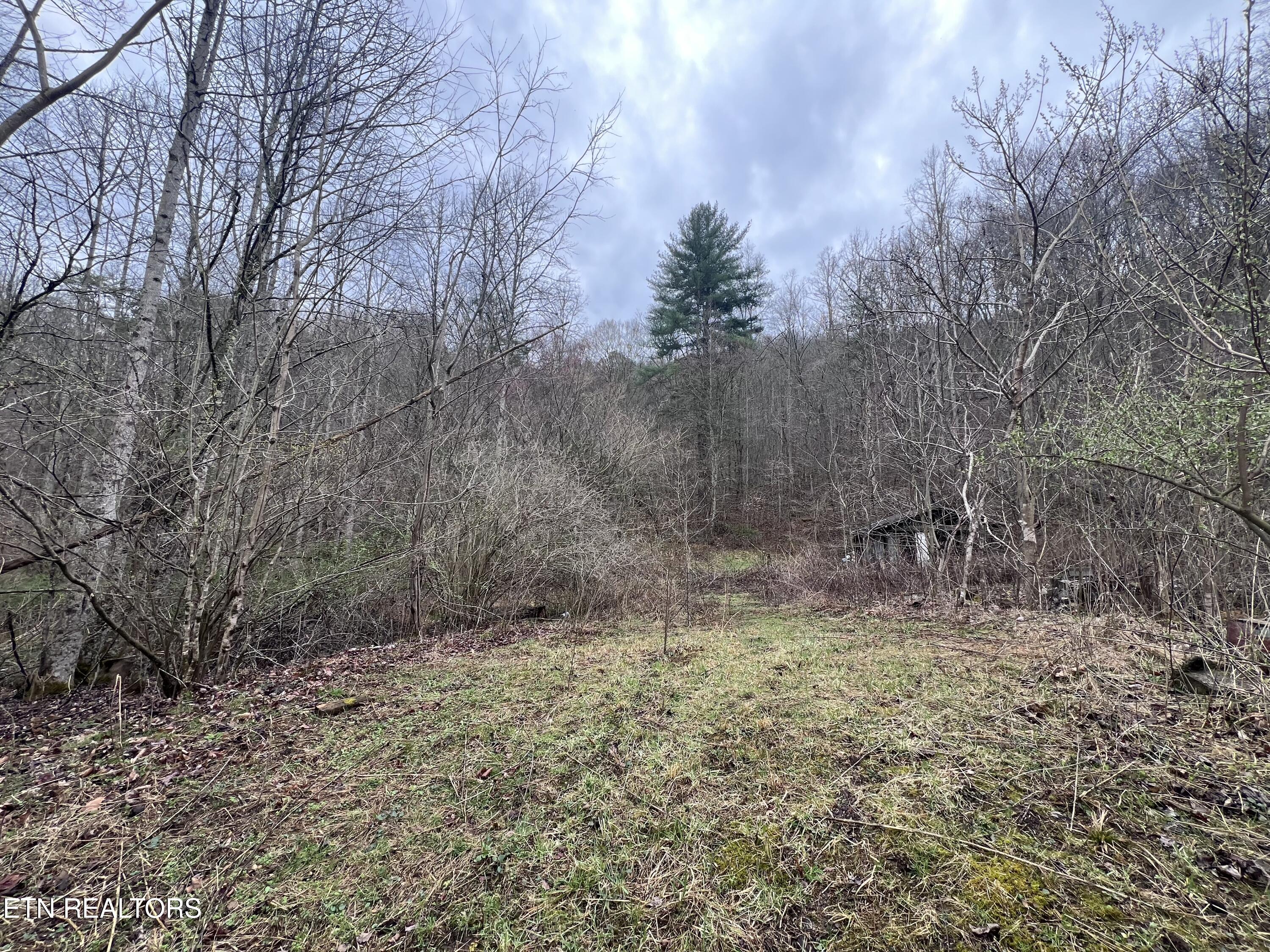 603 Sled Creek Road Duff TN 37729