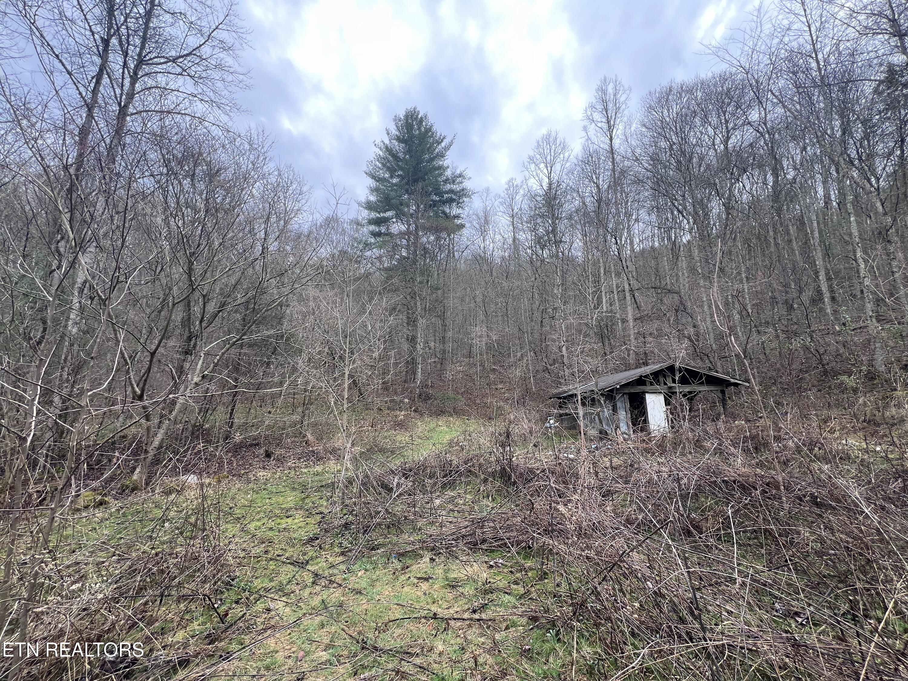 603 Sled Creek Road Duff TN 37729