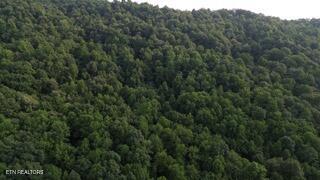 603 Sled Creek Road Duff TN 37729