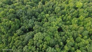 603 Sled Creek Road Duff TN 37729