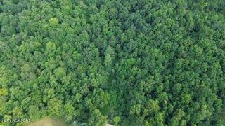 603 Sled Creek Road Duff TN 37729