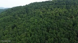 603 Sled Creek Road Duff TN 37729