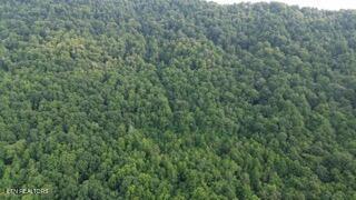 603 Sled Creek Road Duff TN 37729
