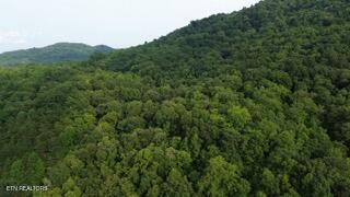 603 Sled Creek Road Duff TN 37729