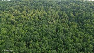603 Sled Creek Road Duff TN 37729