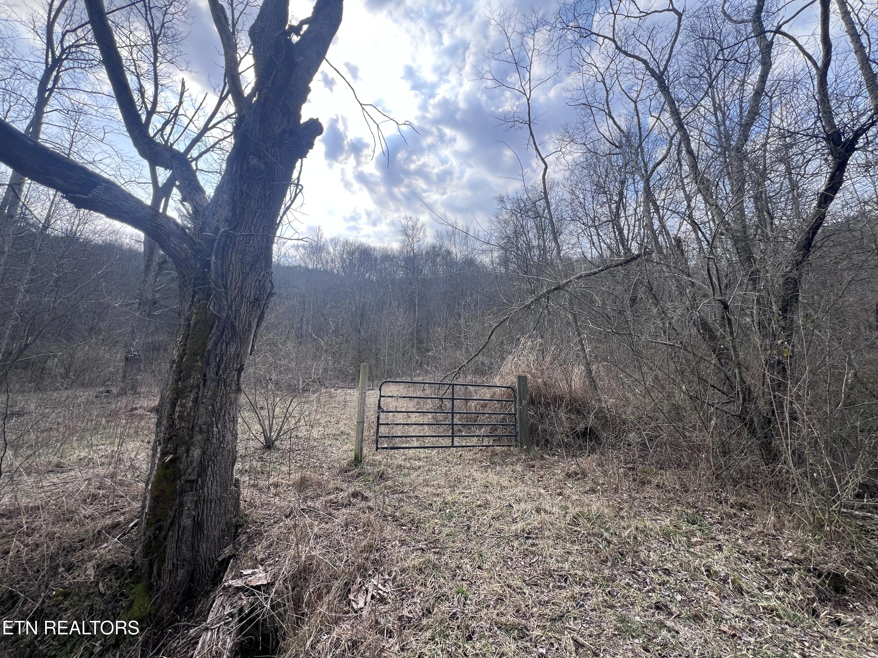 603 Sled Creek Road Duff TN 37729