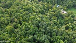 603 Sled Creek Road Duff TN 37729