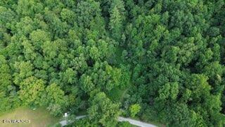 603 Sled Creek Road Duff TN 37729