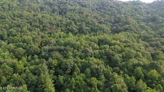603 Sled Creek Road Duff TN 37729