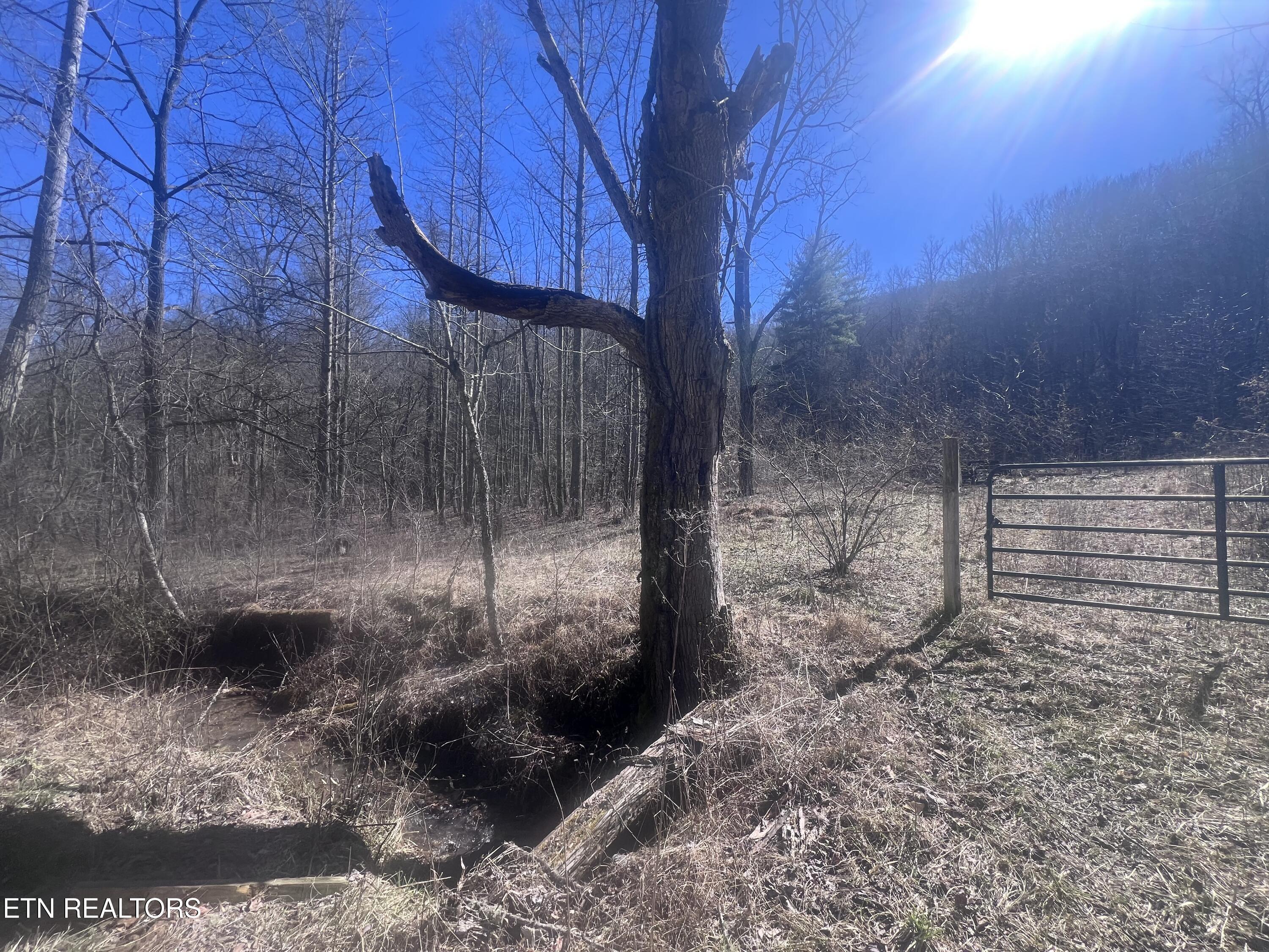 603 Sled Creek Road Duff TN 37729