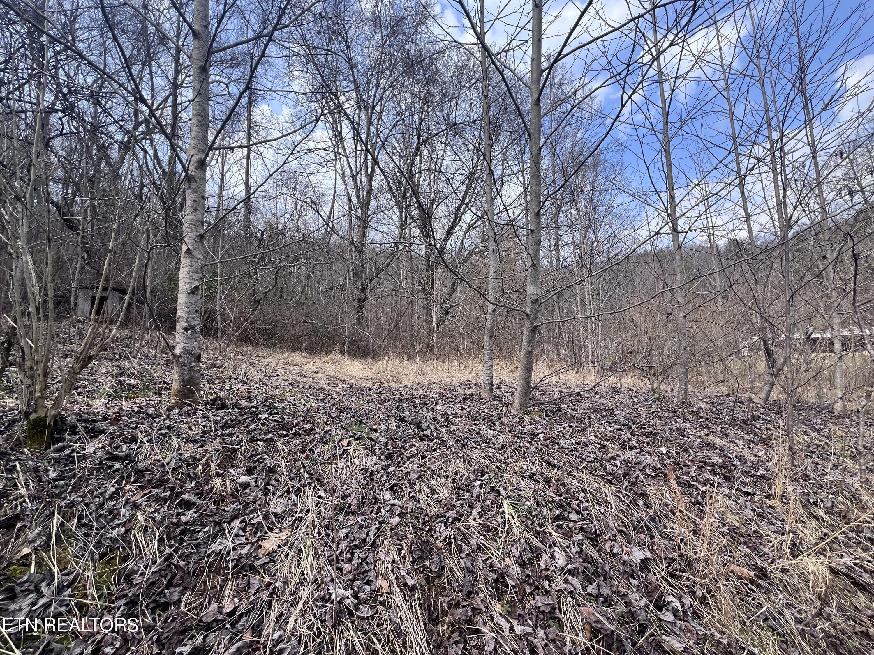 603 Sled Creek Road Duff TN 37729